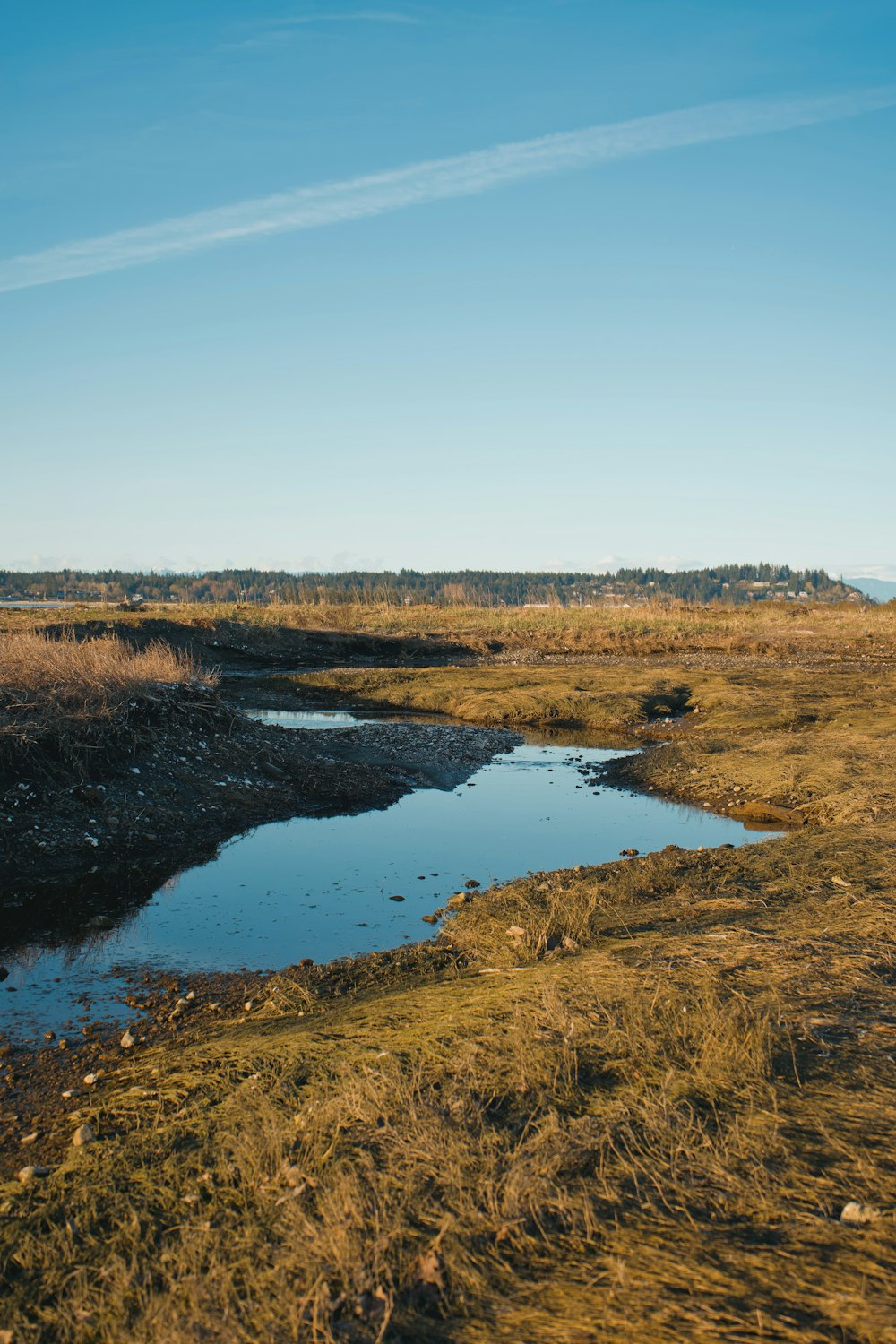 a small body of water sitting in a dry grass field