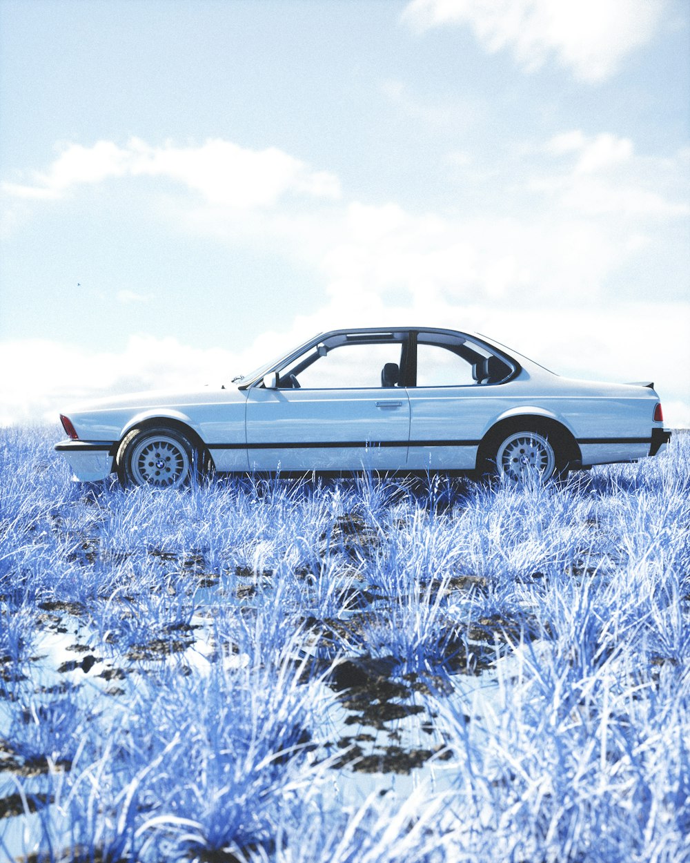 a car parked in a field of blue grass