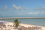 A picturesque beach scene featuring a white sandy shore lined with palapas and blue umbrellas. A lone palm tree stands out among the palapas. In the background, a long pier stretches across the turquoise sea, with a few clouds scattered across the clear blue sky. A small boat floats near the pier.