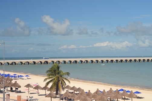 A picturesque beach scene featuring a white sandy shore lined with palapas and blue umbrellas. A lone palm tree stands out among the palapas. In the background, a long pier stretches across the turquoise sea, with a few clouds scattered across the clear blue sky. A small boat floats near the pier.