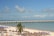 A picturesque beach scene featuring a white sandy shore lined with palapas and blue umbrellas. A lone palm tree stands out among the palapas. In the background, a long pier stretches across the turquoise sea, with a few clouds scattered across the clear blue sky. A small boat floats near the pier.
