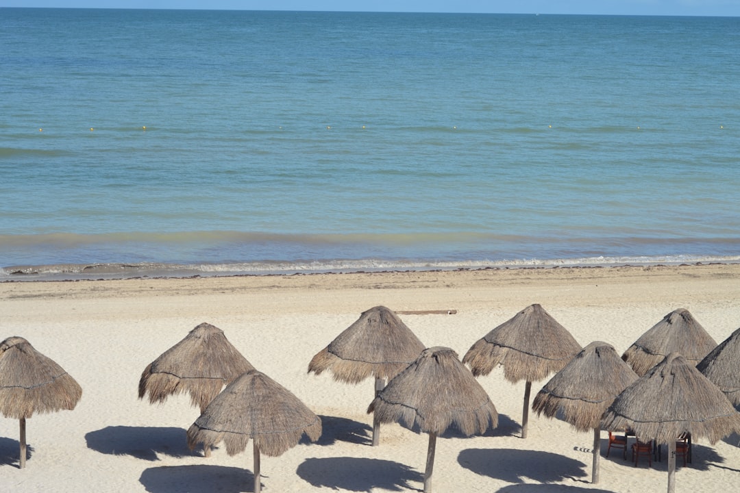 a bunch of umbrellas that are on a beach, Beach vacation series