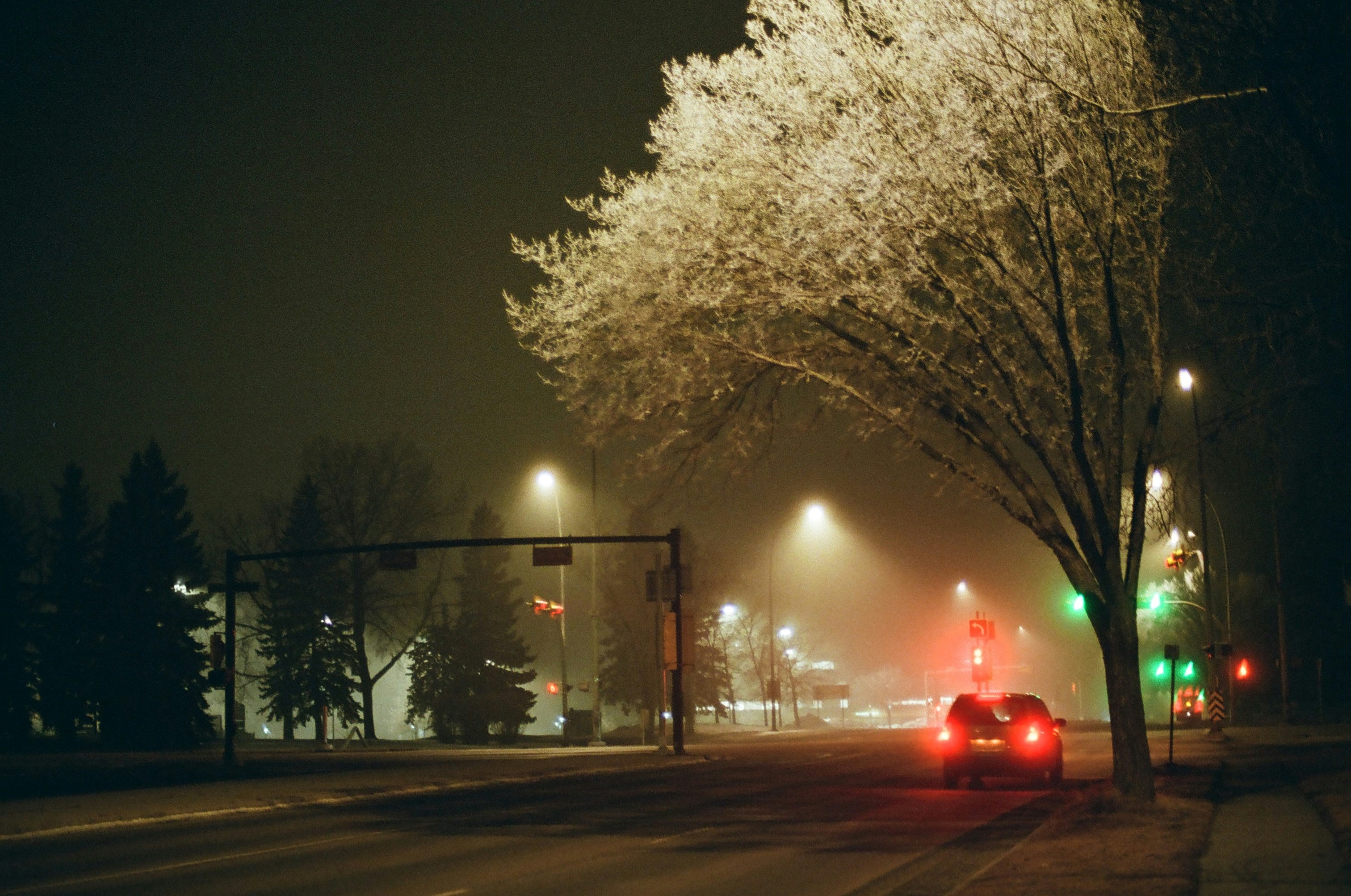 A city street at night with traffic lights and trees photo – Free Film ...