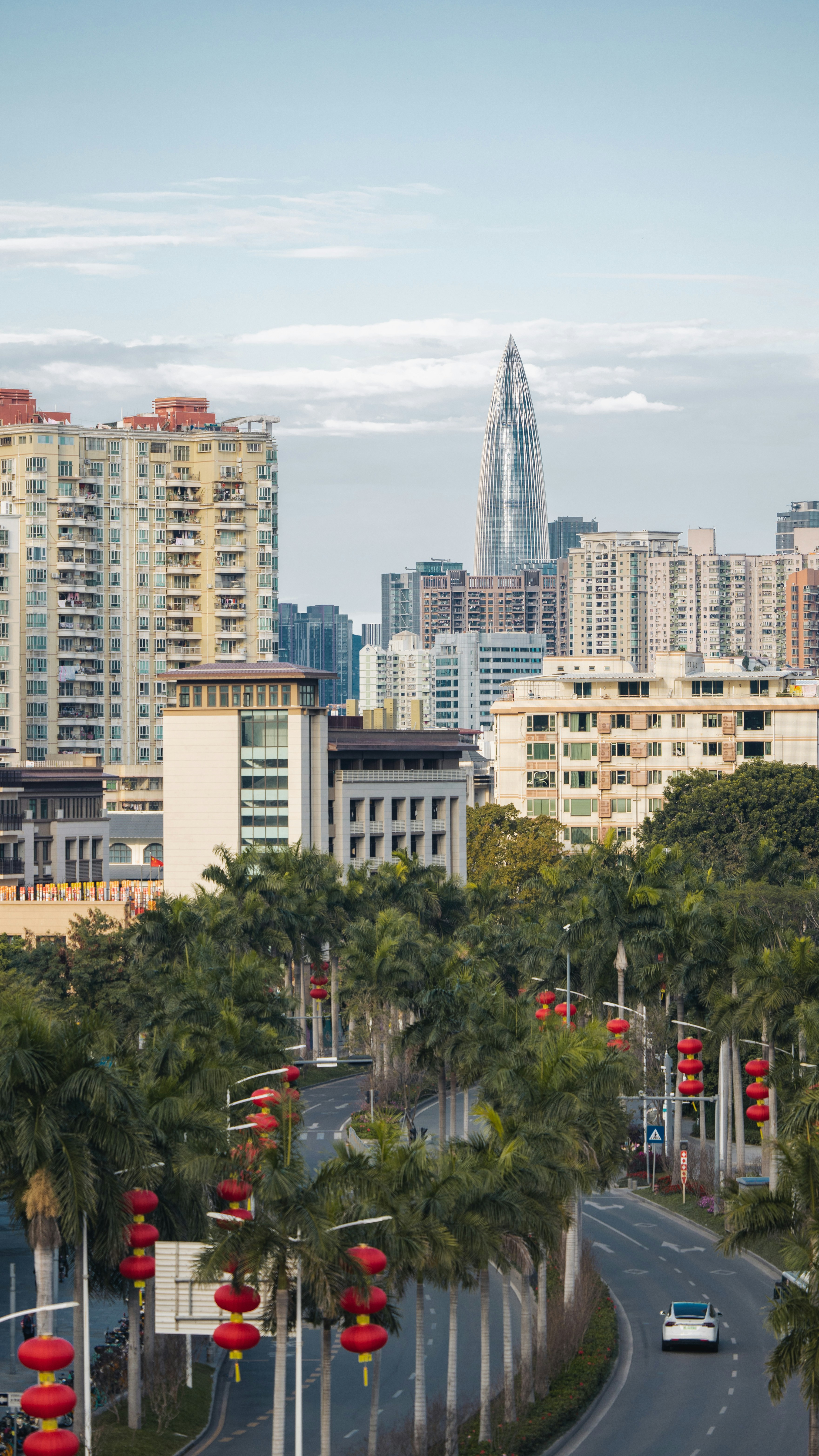 a view of a city with tall buildings and palm trees
