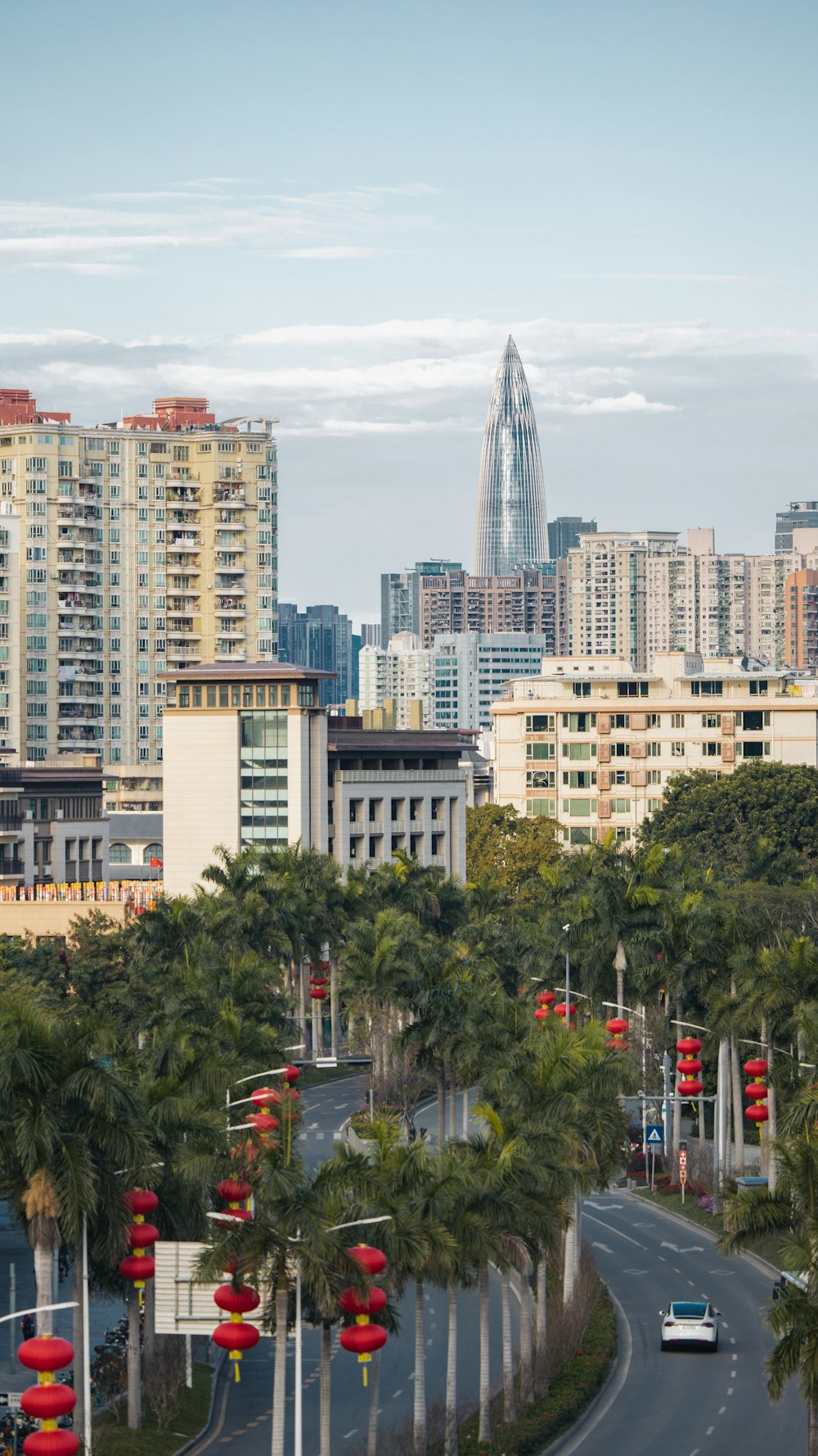 a view of a city with tall buildings and palm trees