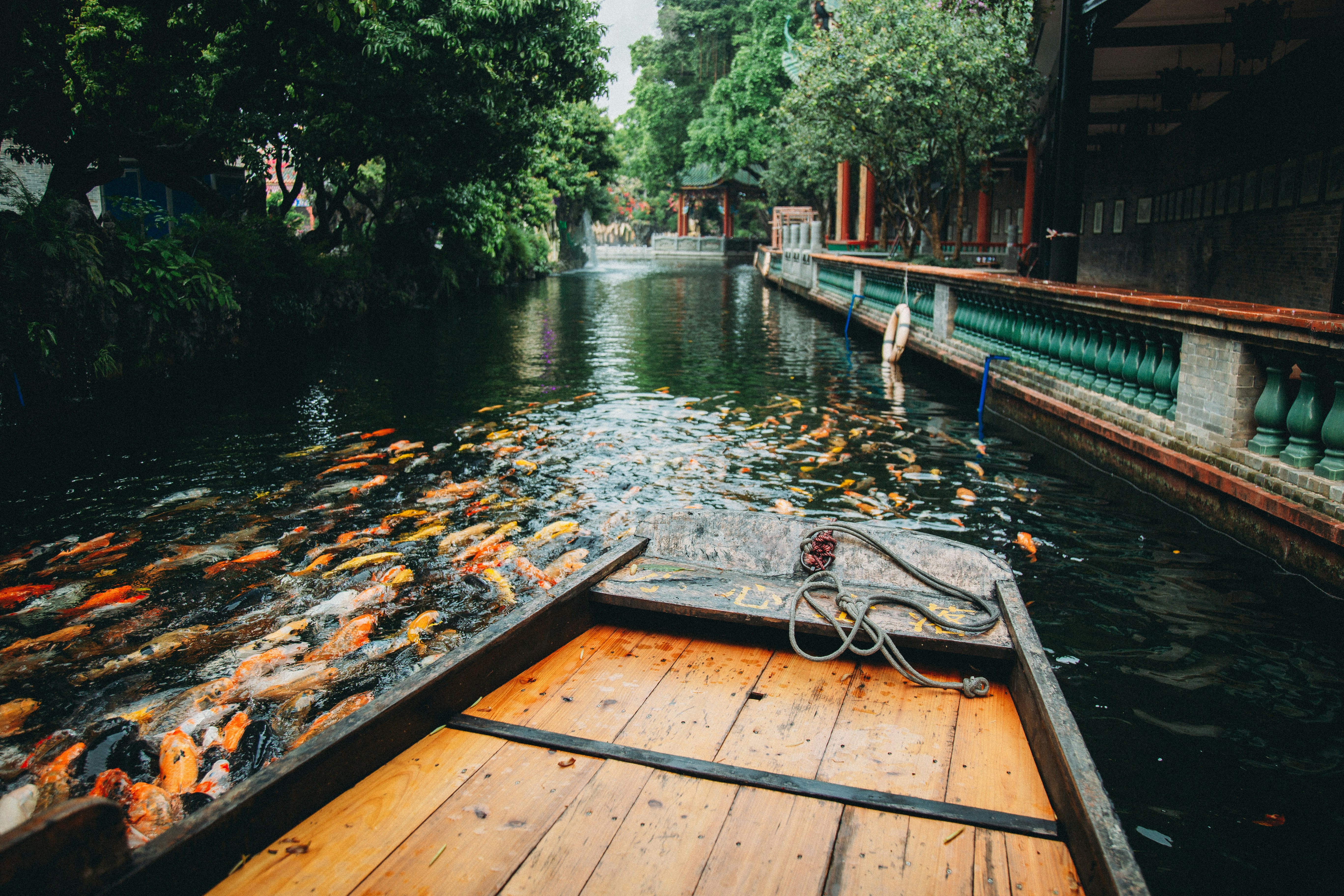 Get Up Close and Personal with Wildlife on Airboat Tours in New Orleans