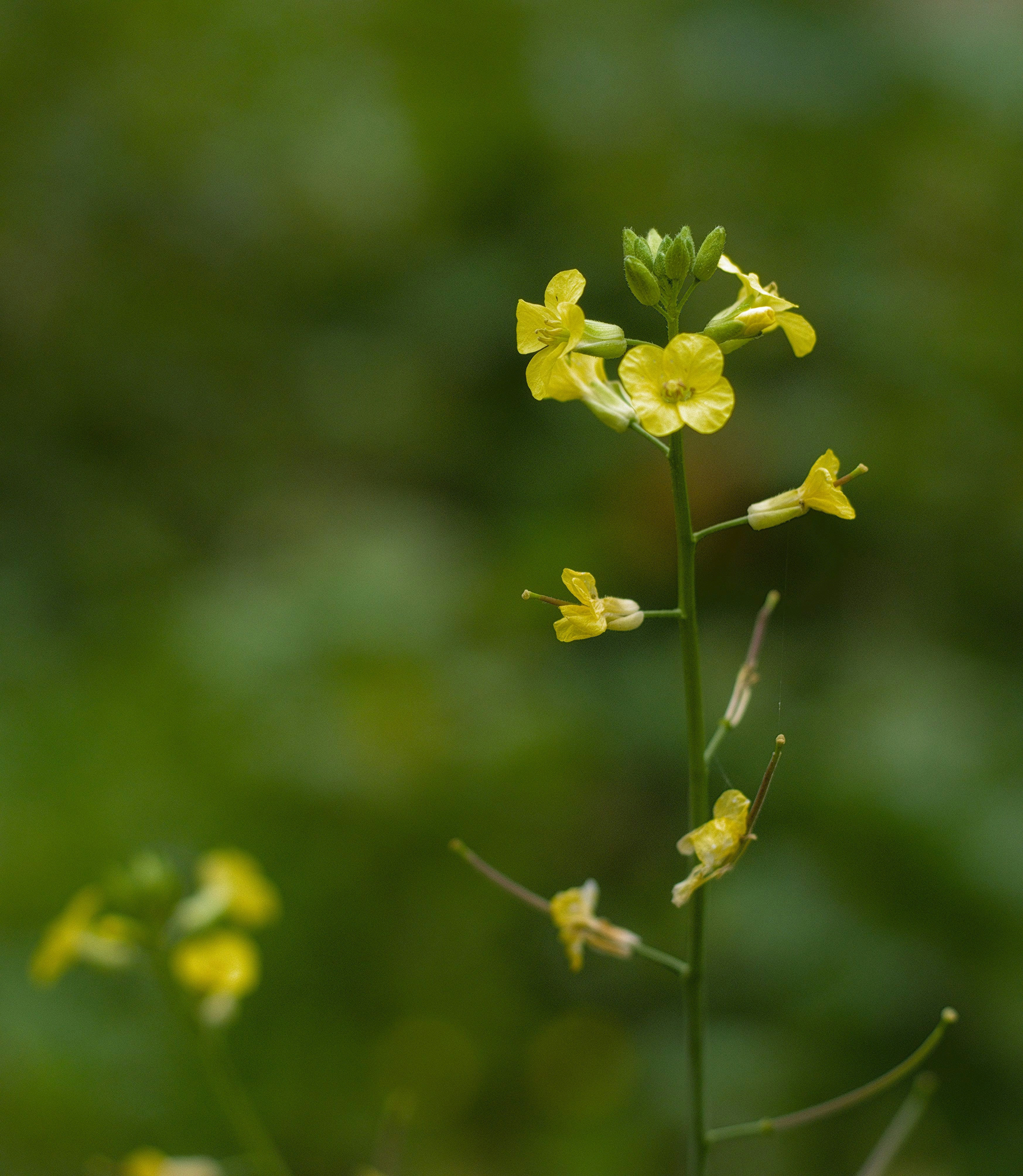 Photo by _dimitrios_