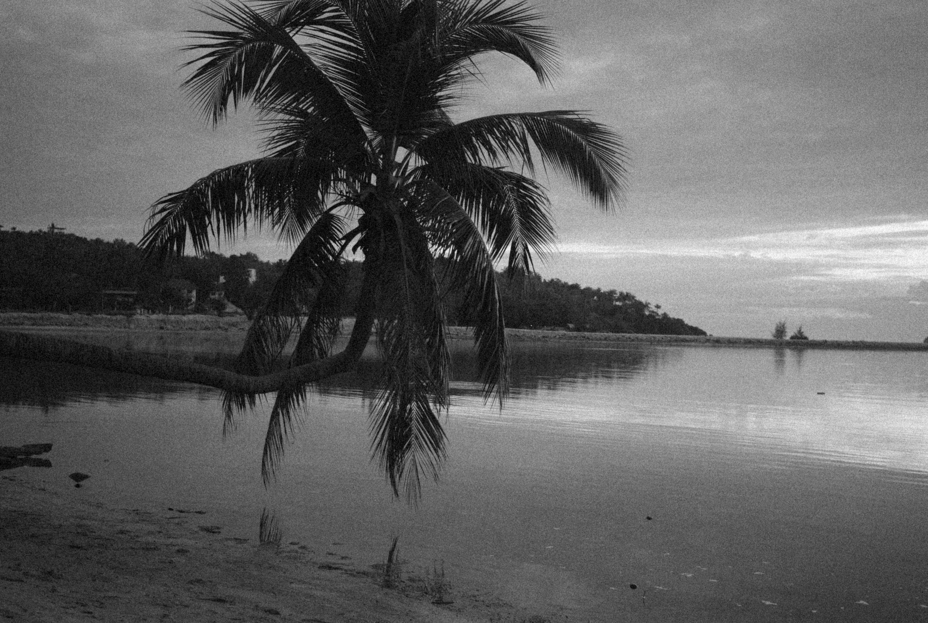 Photo by alexeydemidov