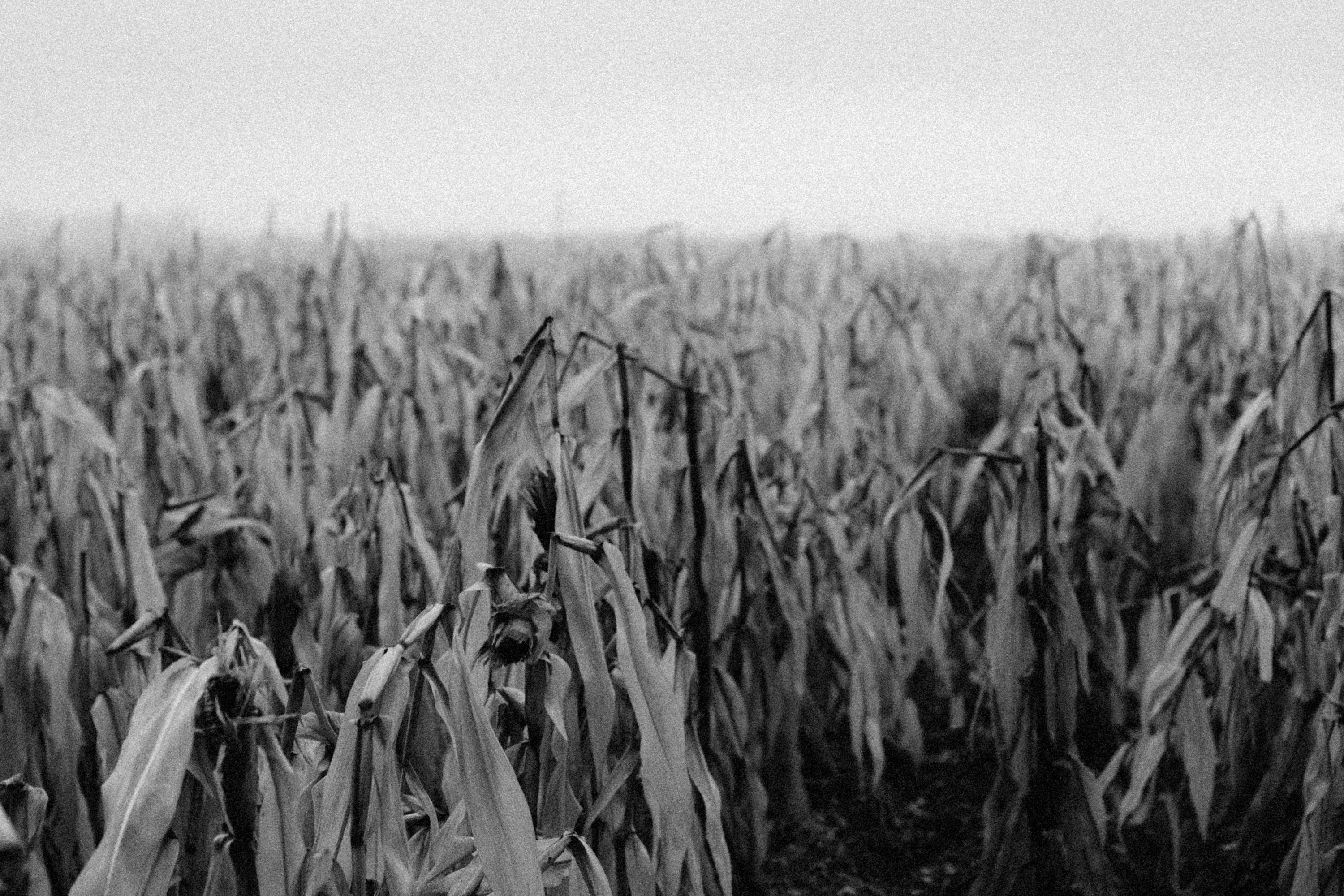 Photo by alexeydemidov