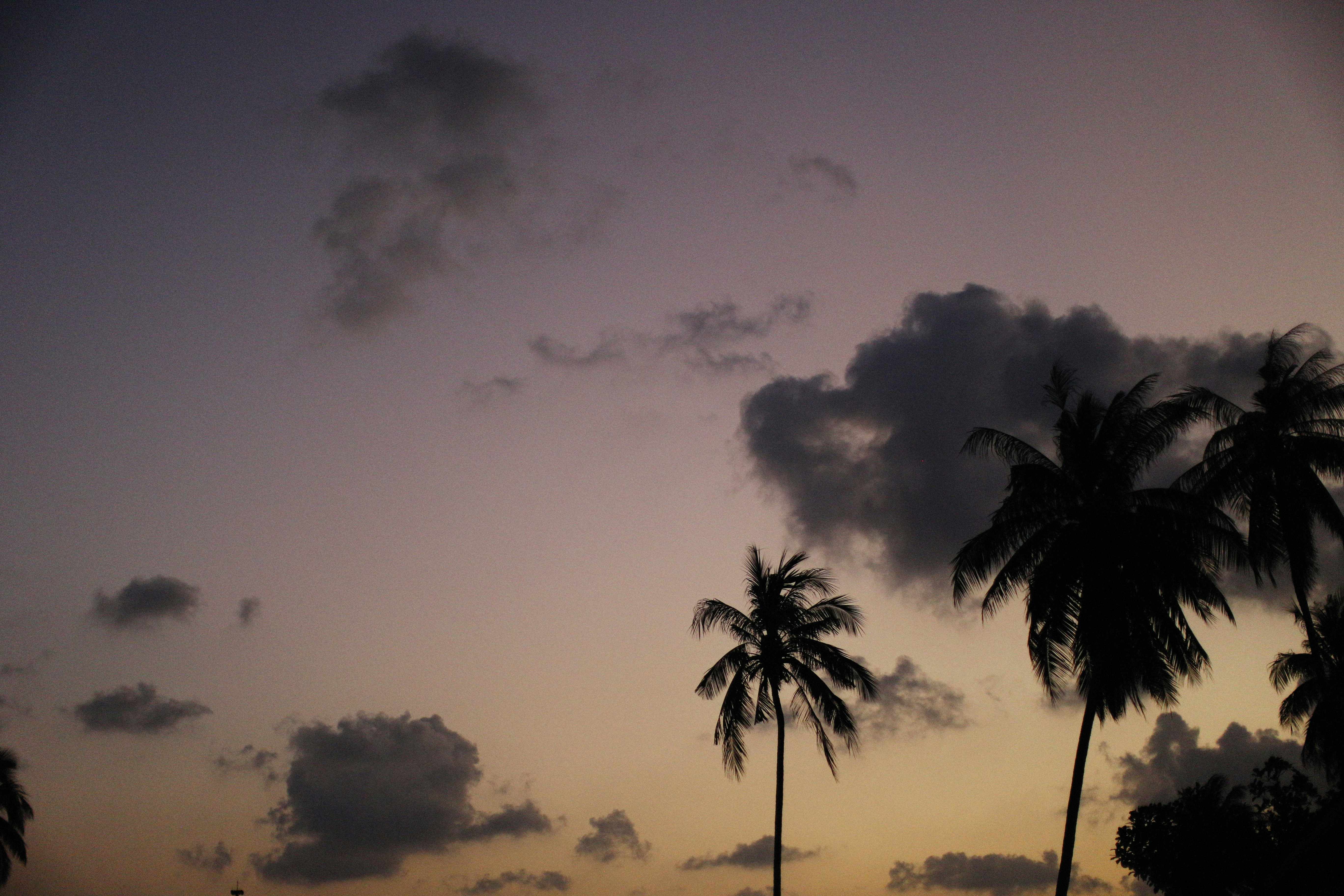 Photo by alexeydemidov