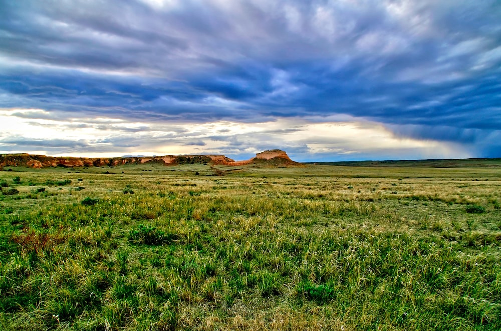 a wide open field with a mountain in the background