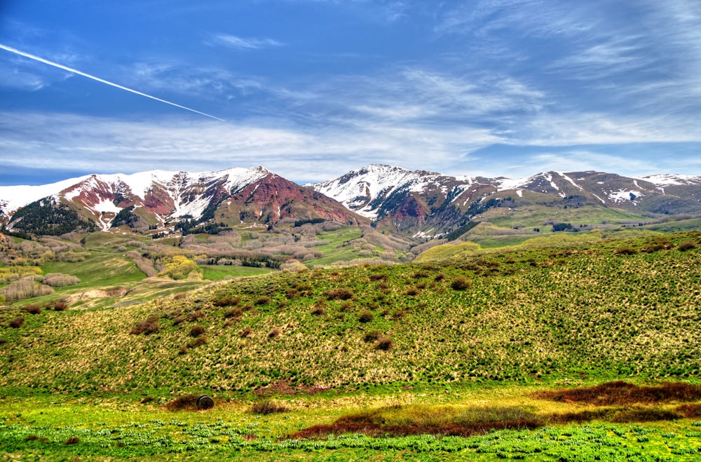 a grassy field with mountains in the background