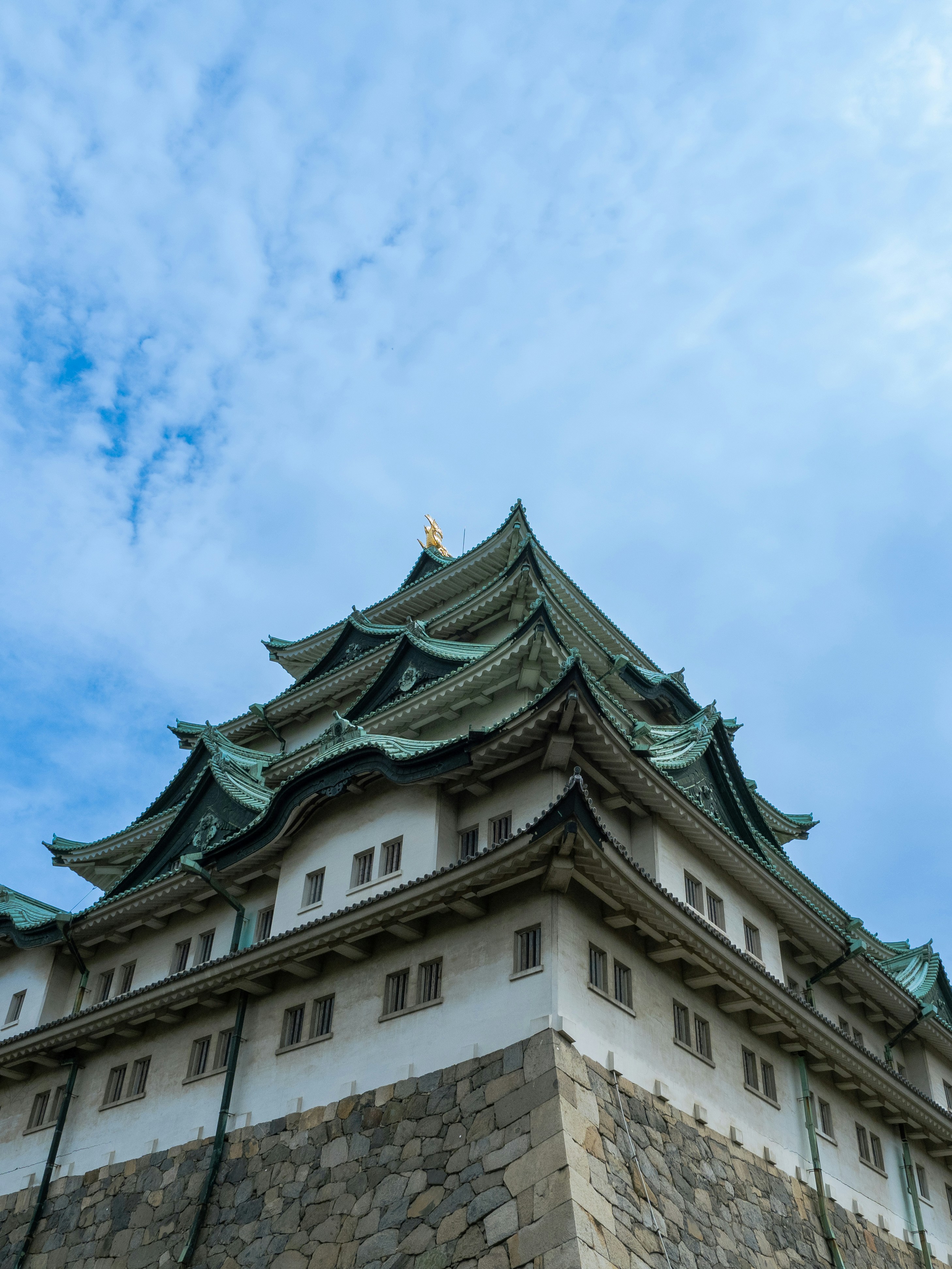 Photo by shellingfordyu