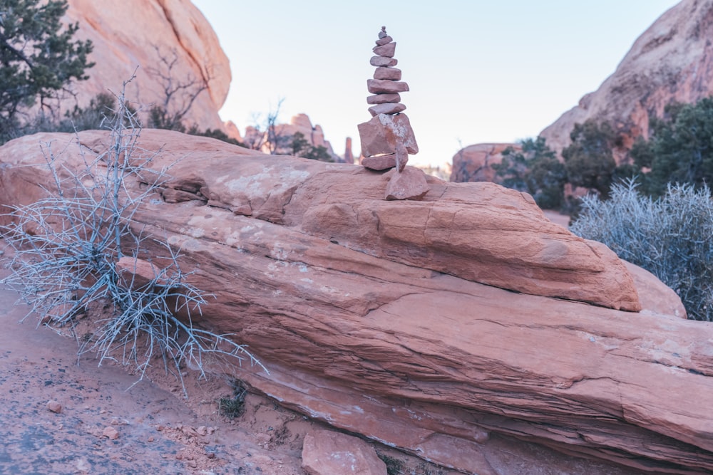 a canyon with a mountain in the background