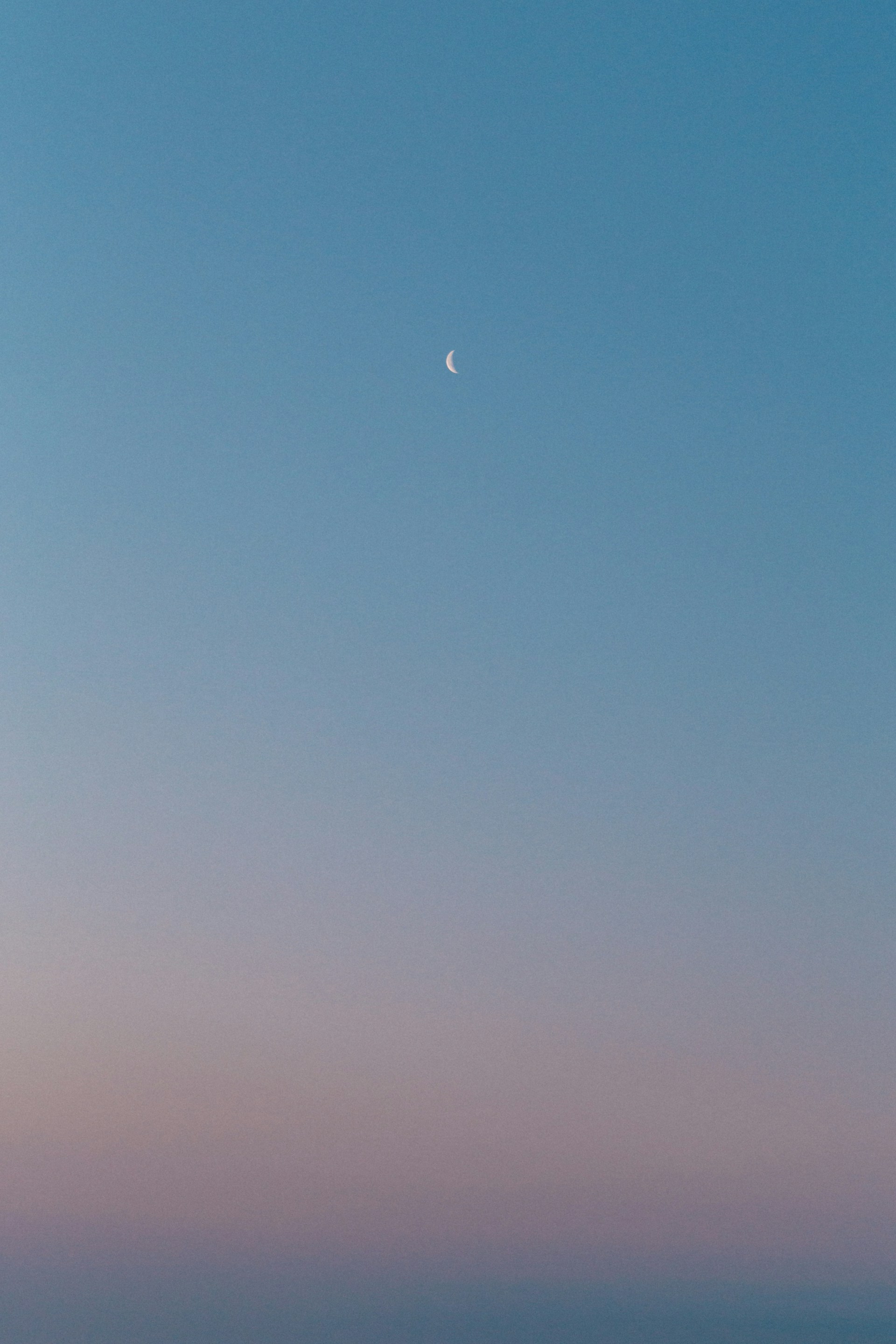 a plane flying in the sky