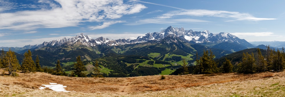 a landscape with trees and mountains in the back