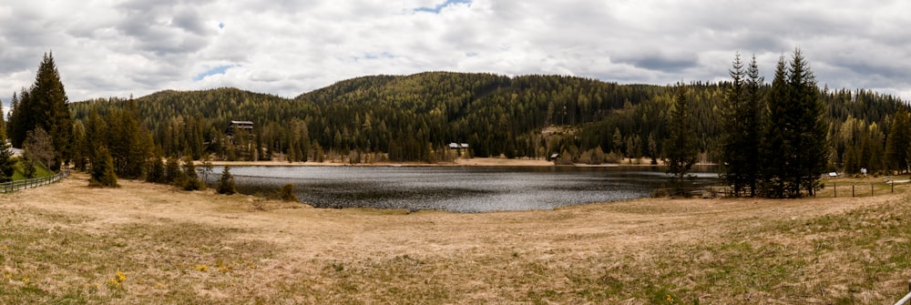 a lake surrounded by trees