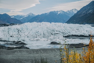 A vast glacier sits majestically in a mountainous landscape, with its white and icy surface stretching across the terrain. Surrounding the glacier, rugged mountains rise with snow-covered peaks, under a sky filled with soft clouds. In the foreground, a bench is positioned near sparse autumn foliage, providing a quiet spot to admire the breathtaking view.