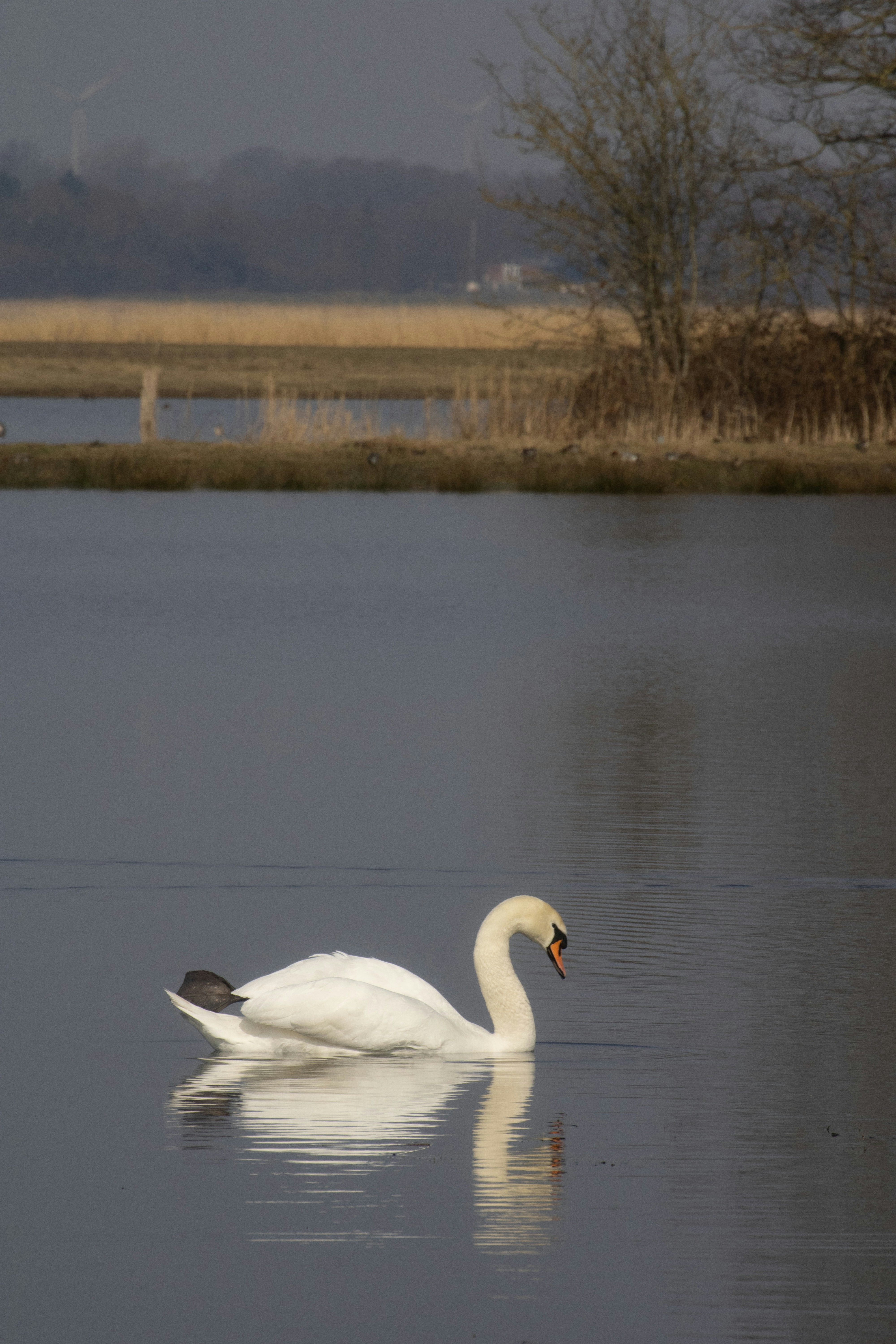 Photo by mirkofabian