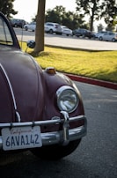 A classic 1967 car decorated with Polish colors parked near a California beach.