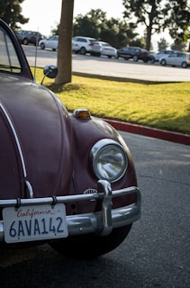 A classic 1967 car decorated with Polish colors parked near a California beach.