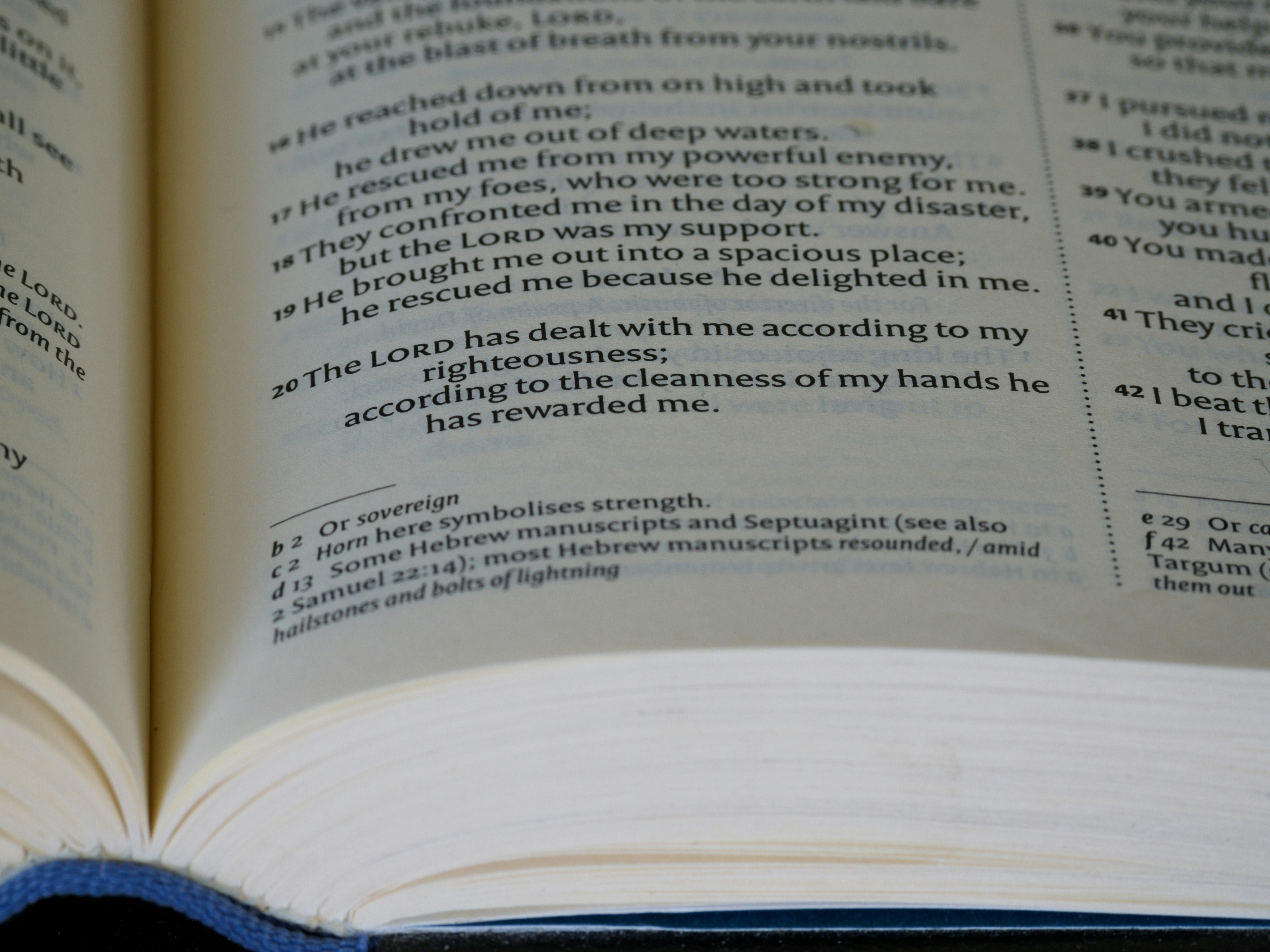 Photo by brett_jordan