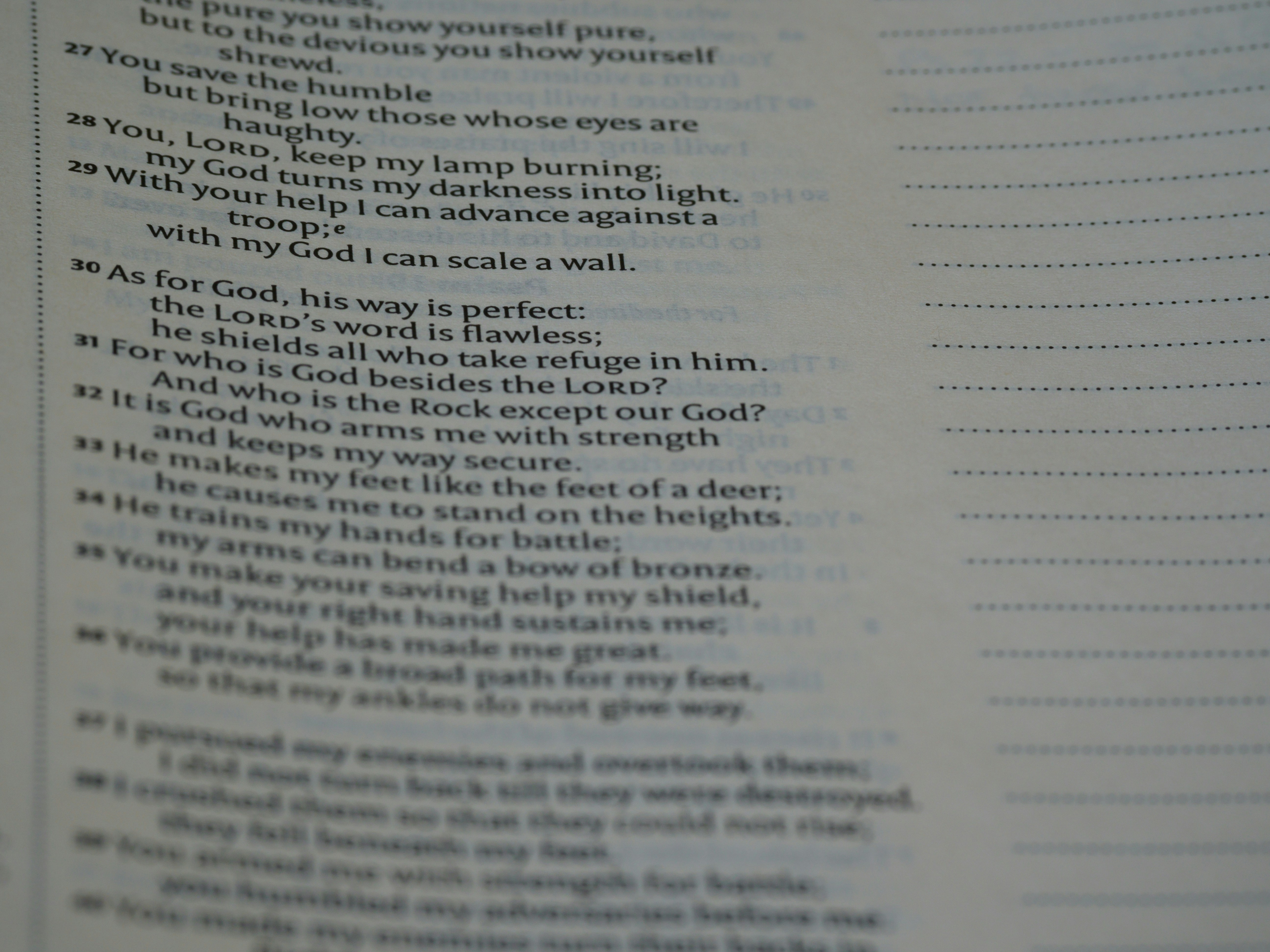 Photo by brett_jordan