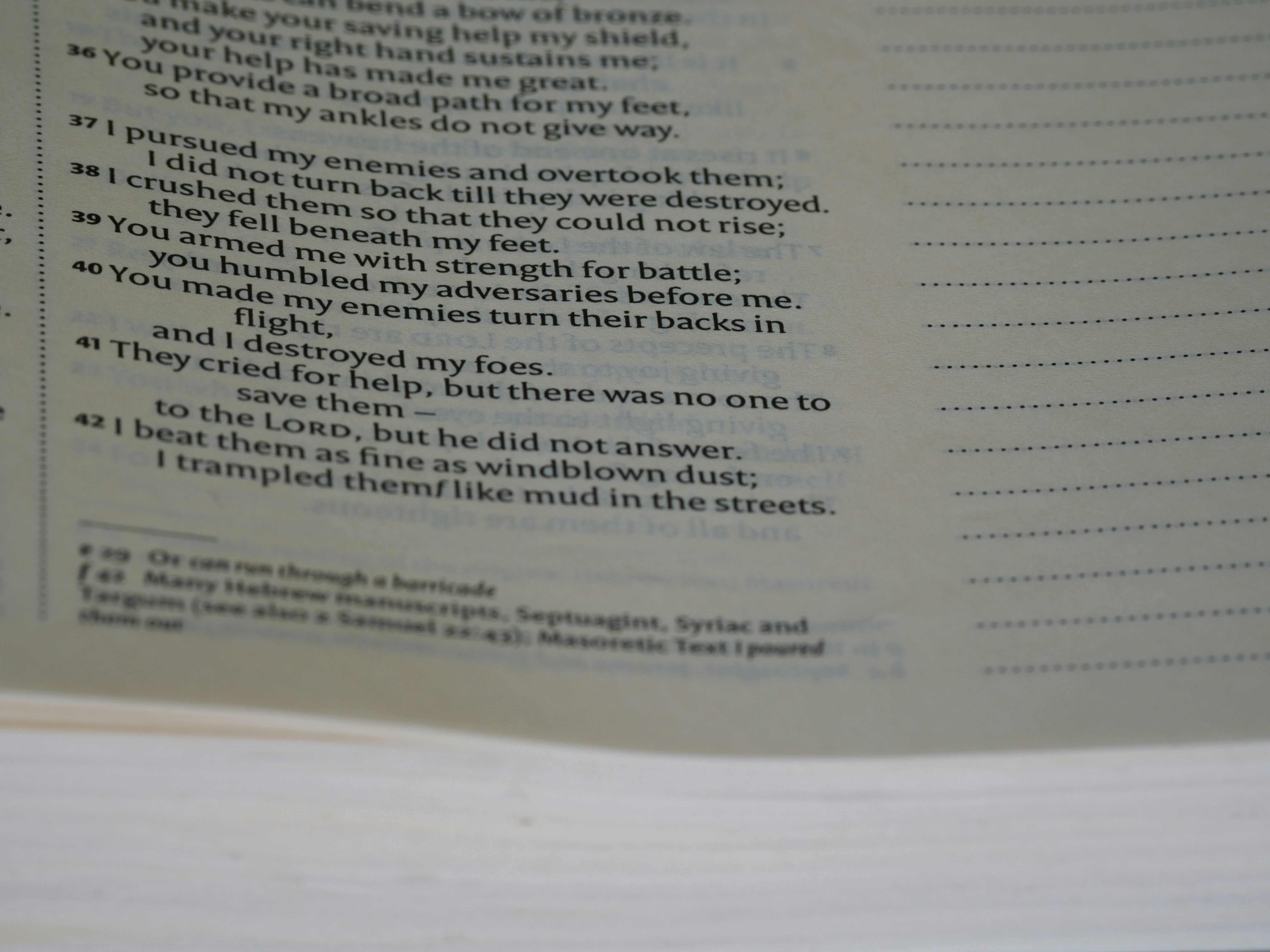 Photo by brett_jordan