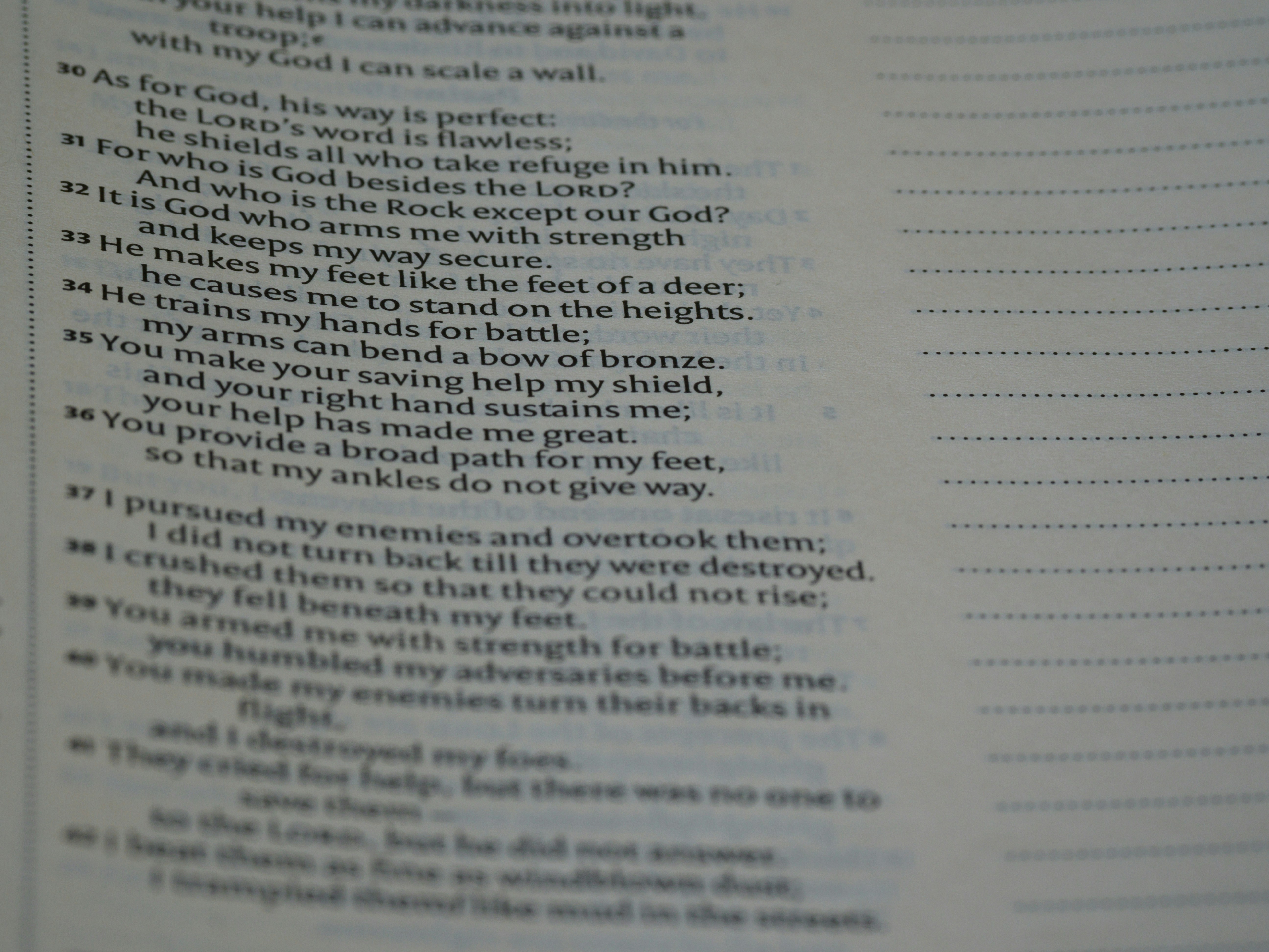 Photo by brett_jordan