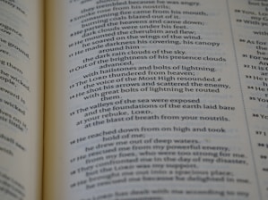 The image displays an open book with text, focusing on a particular page with detailed and formatted content. The font is clear, and the text appears to be from a religious or poetic text, folding into two columns of specific verses or passages.