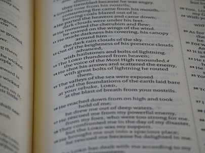 The image displays an open book with text, focusing on a particular page with detailed and formatted content. The font is clear, and the text appears to be from a religious or poetic text, folding into two columns of specific verses or passages.