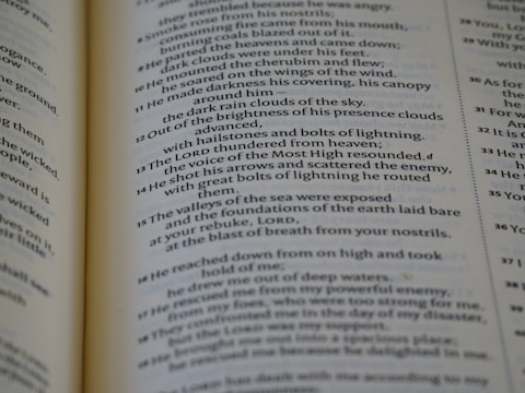 The image displays an open book with text, focusing on a particular page with detailed and formatted content. The font is clear, and the text appears to be from a religious or poetic text, folding into two columns of specific verses or passages.
