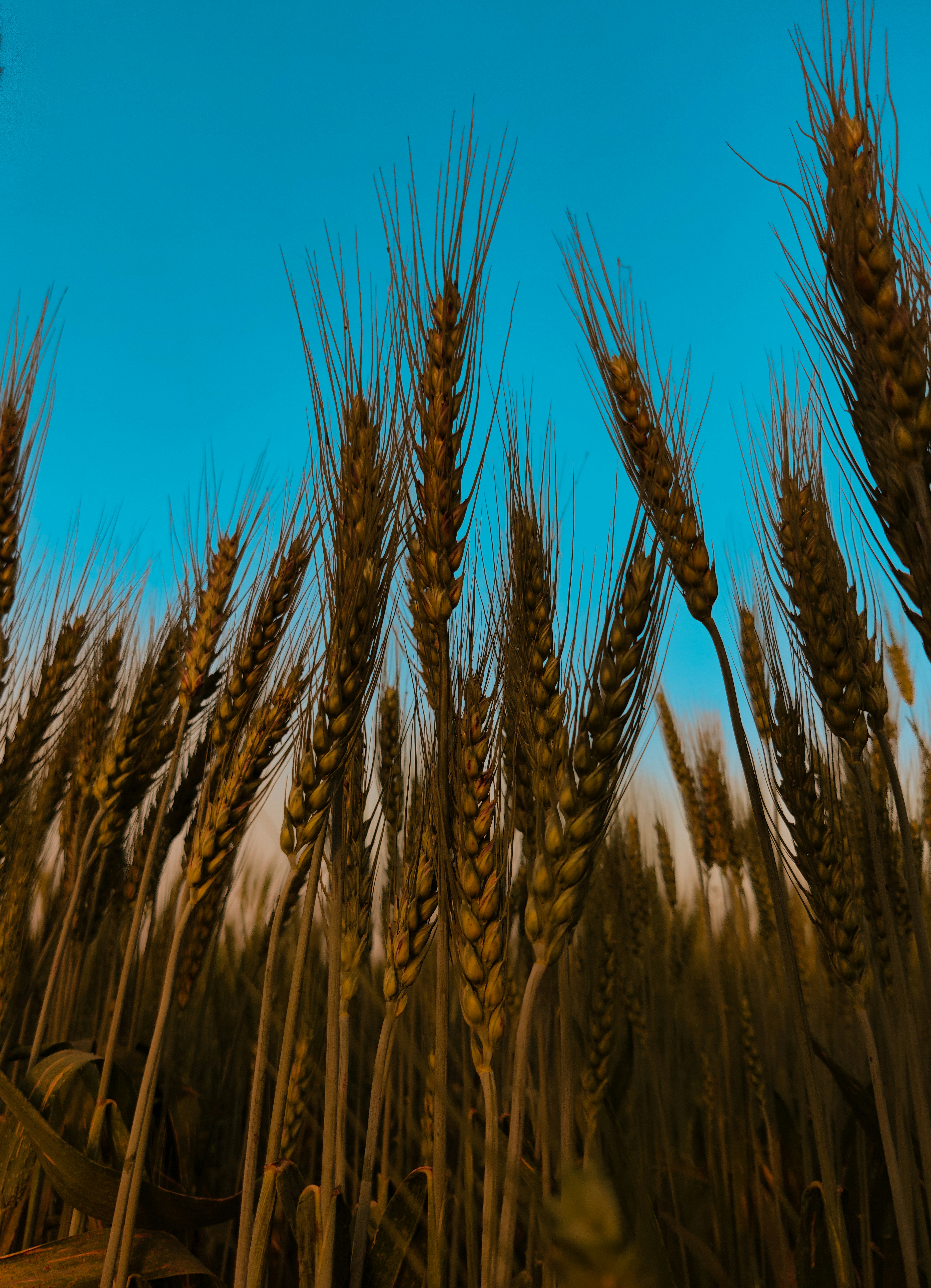 Photo by abdur_rehman9083