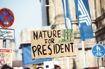 A protest sign with the words 'Nature for President' is held up in a street setting. The sign is decorated with green tree illustrations. Various street signs, including no parking and bike lane symbols, are visible. The background features urban architecture and blue flags with abstract designs.