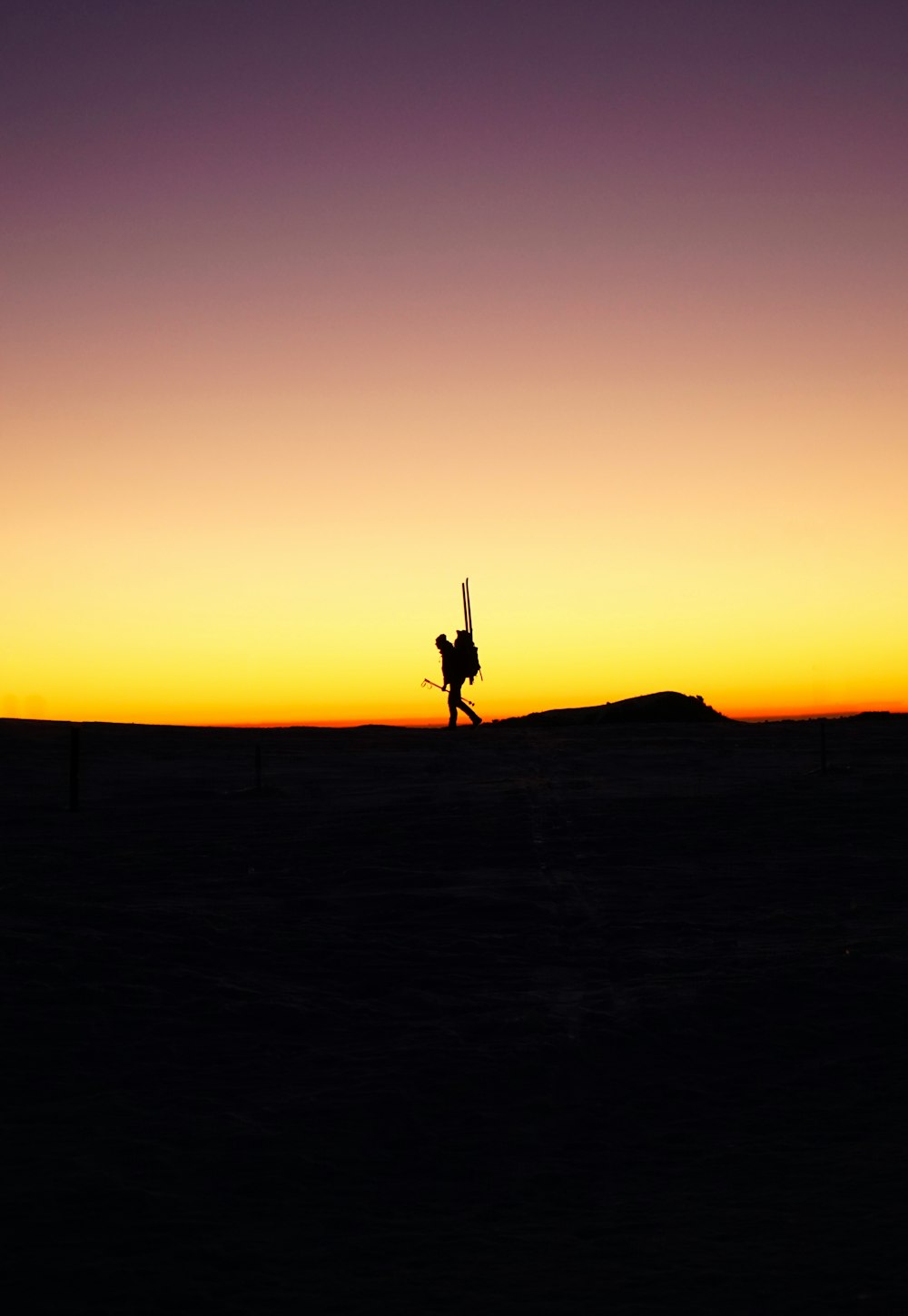 a person holding a pole in the air at sunset