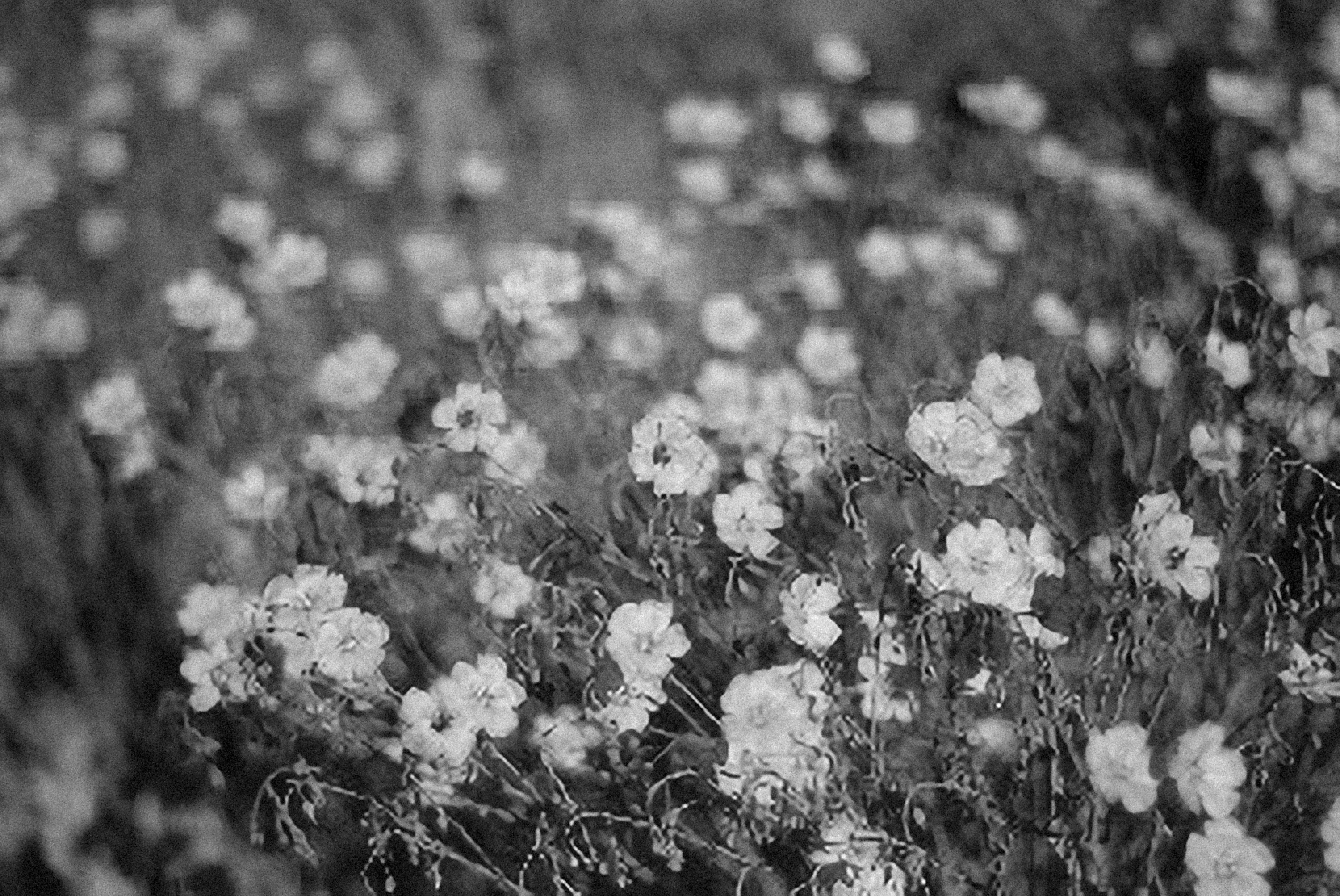 Photo by alexeydemidov