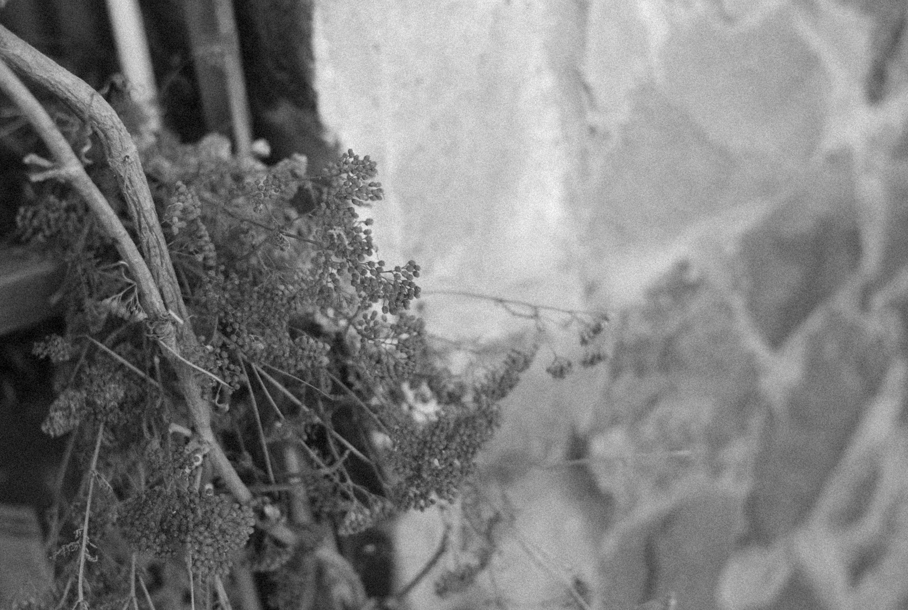 Photo by alexeydemidov