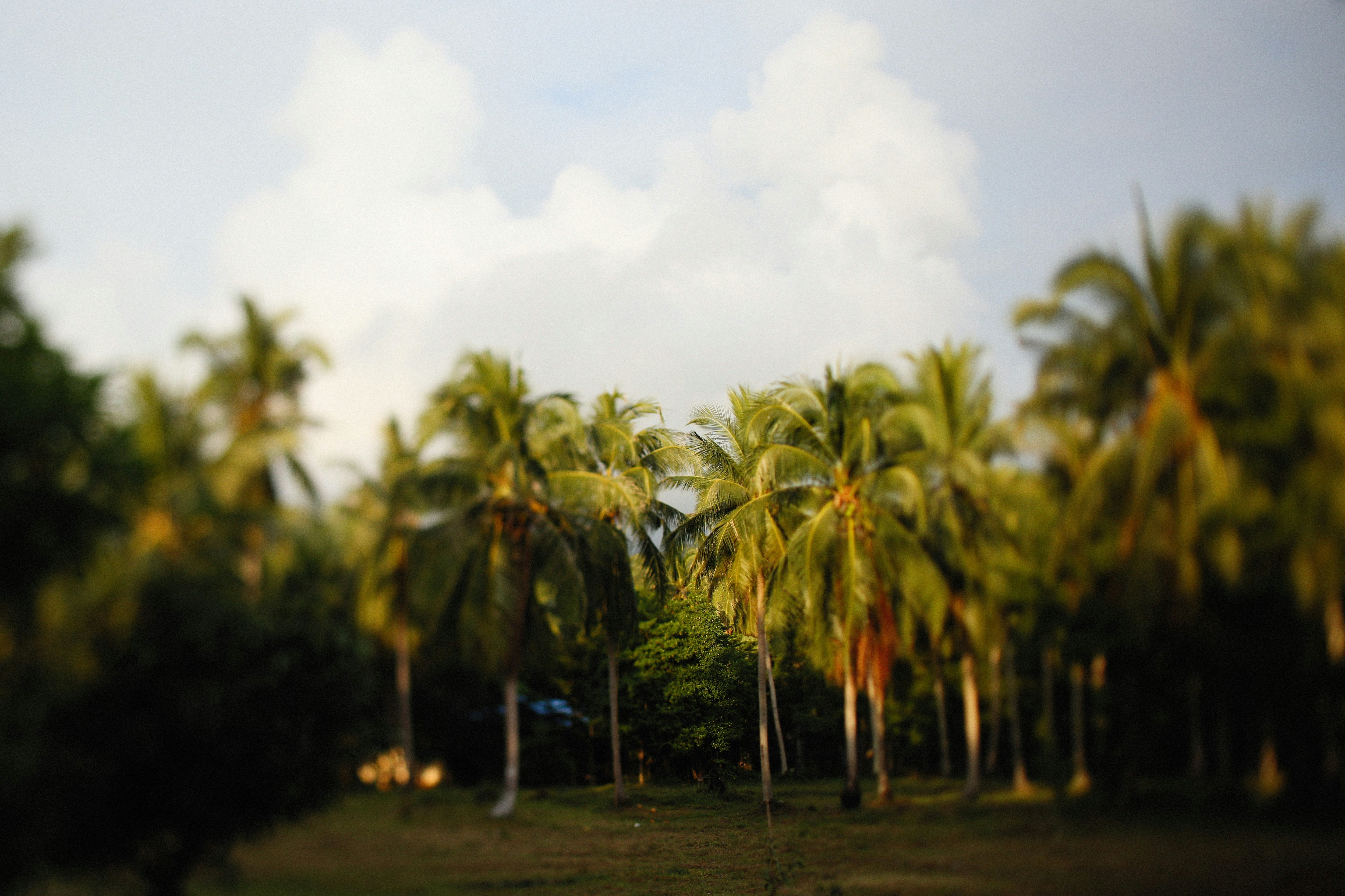 Photo by alexeydemidov