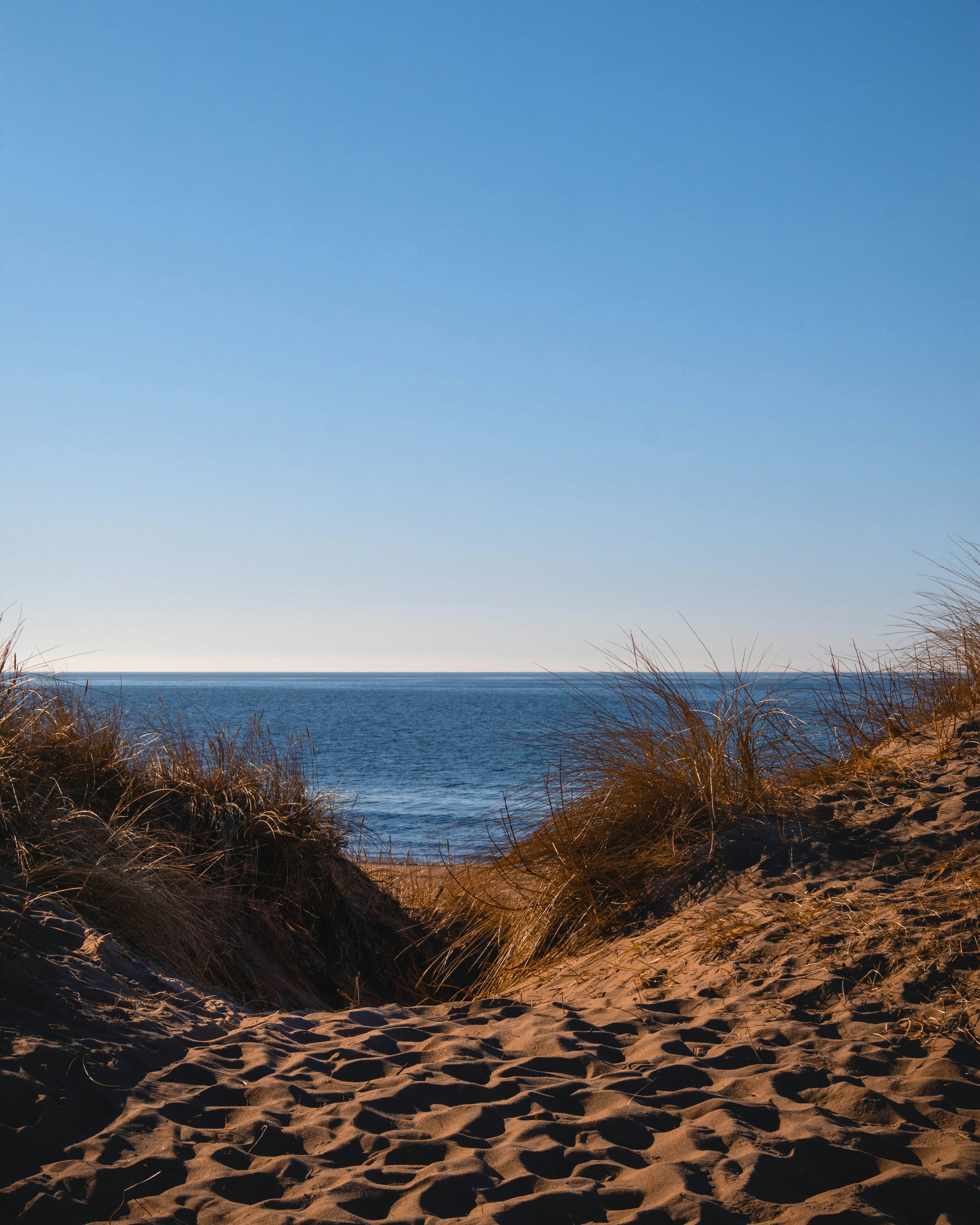 Photo by sofijastefa