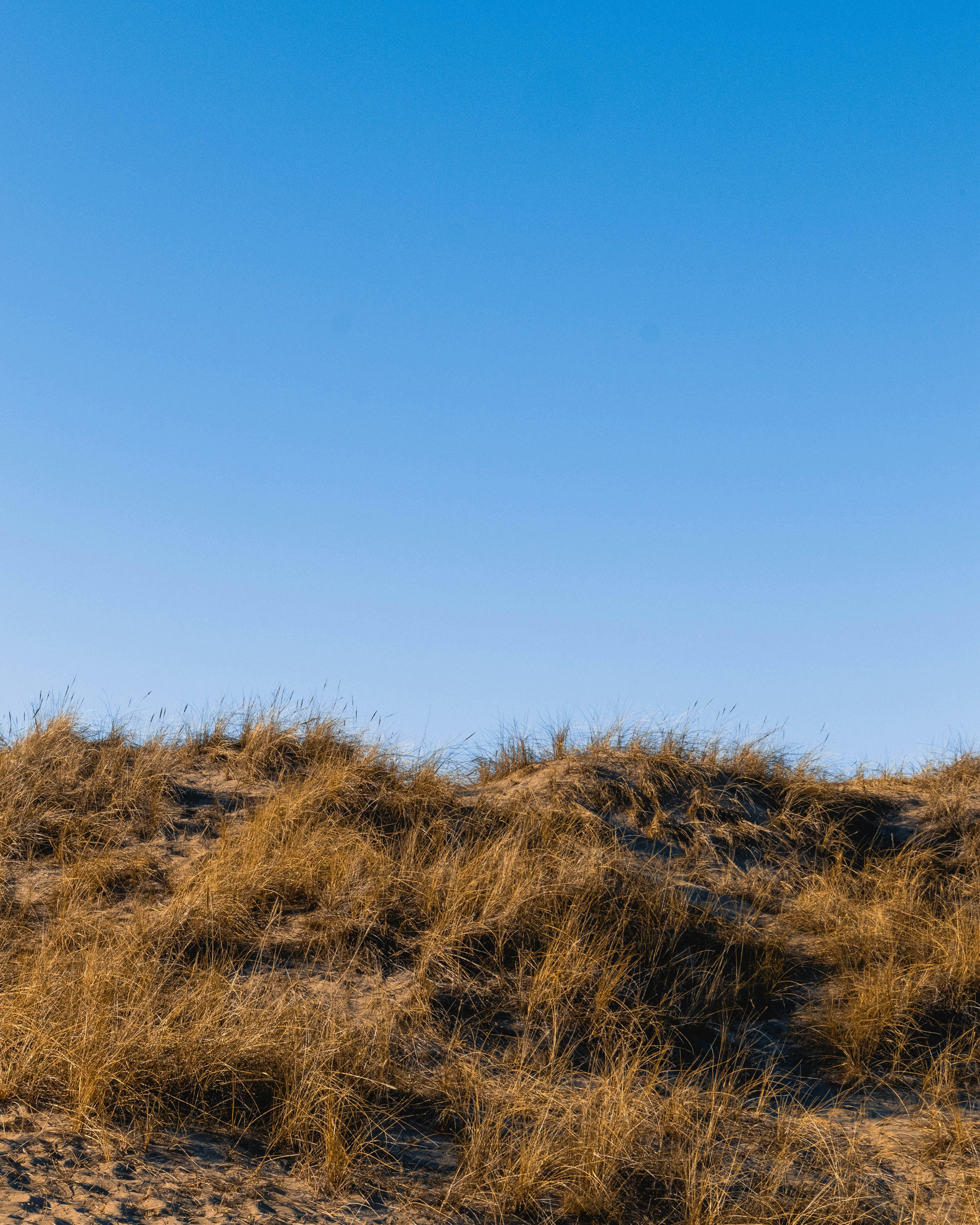 Photo by sofijastefa