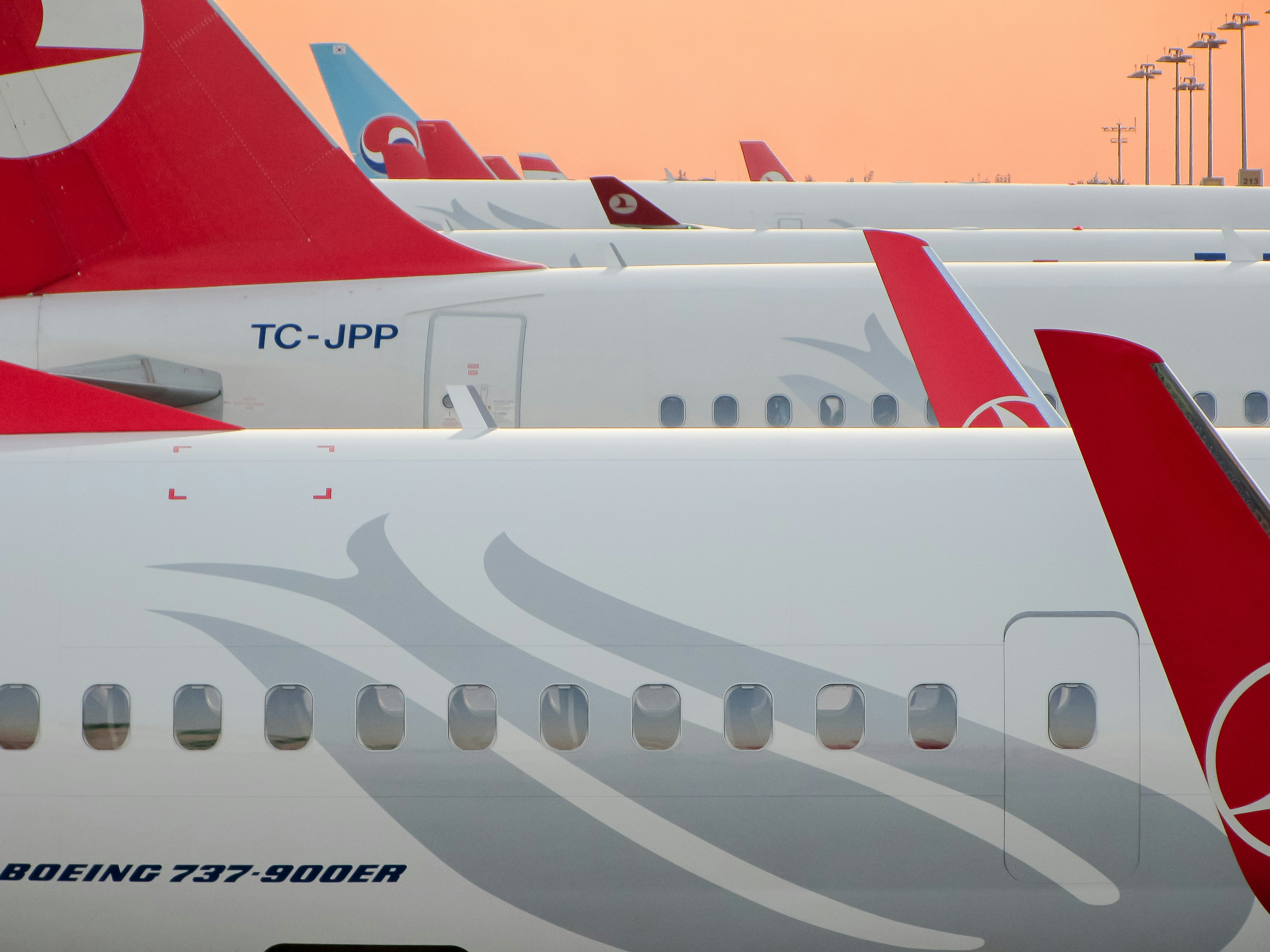 the wing of an airplane, airplanes in red tales