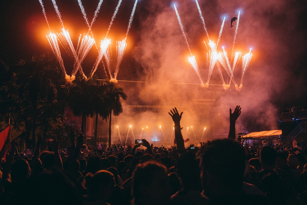 a crowd of people watching fireworks,