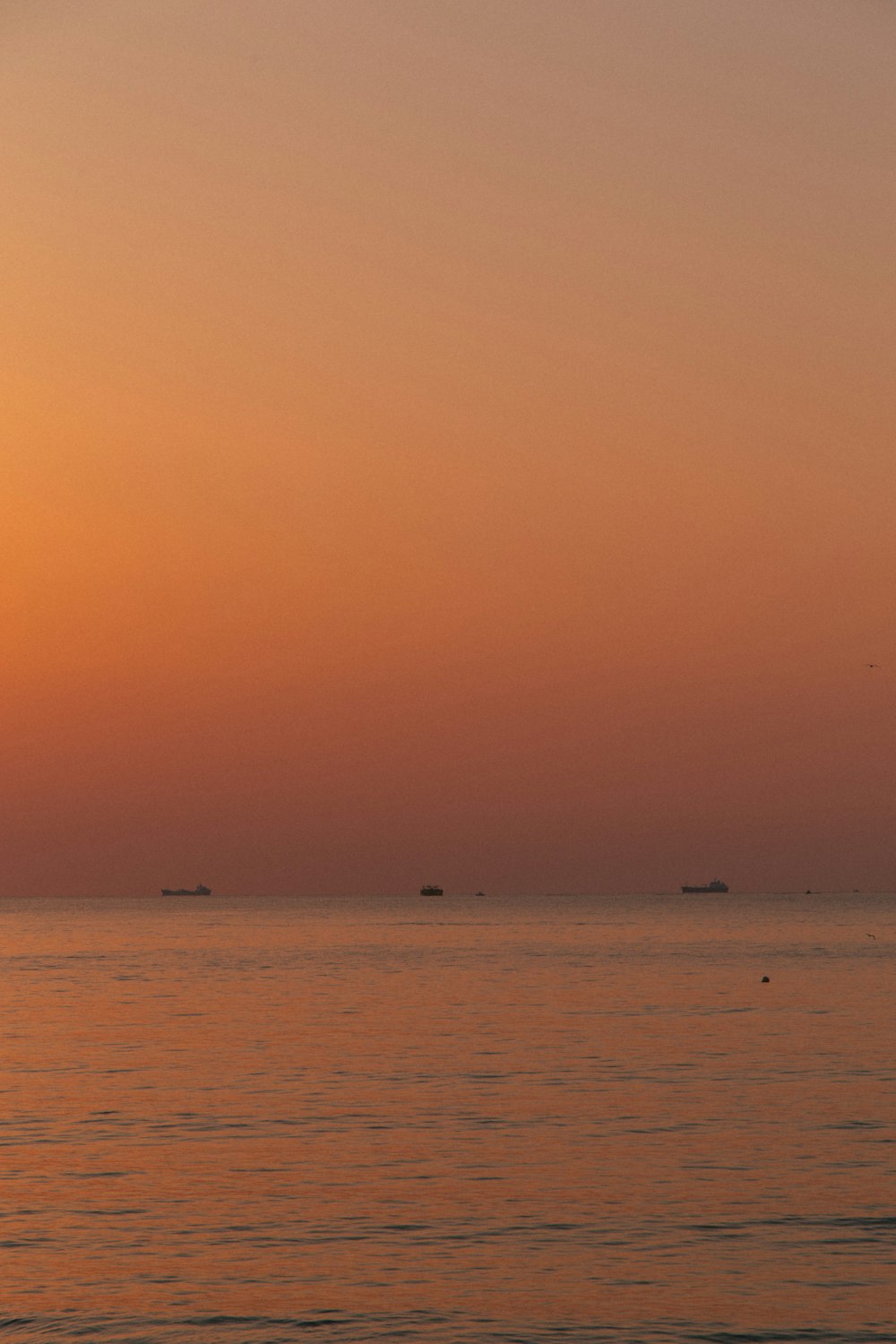 a group of boats in the water