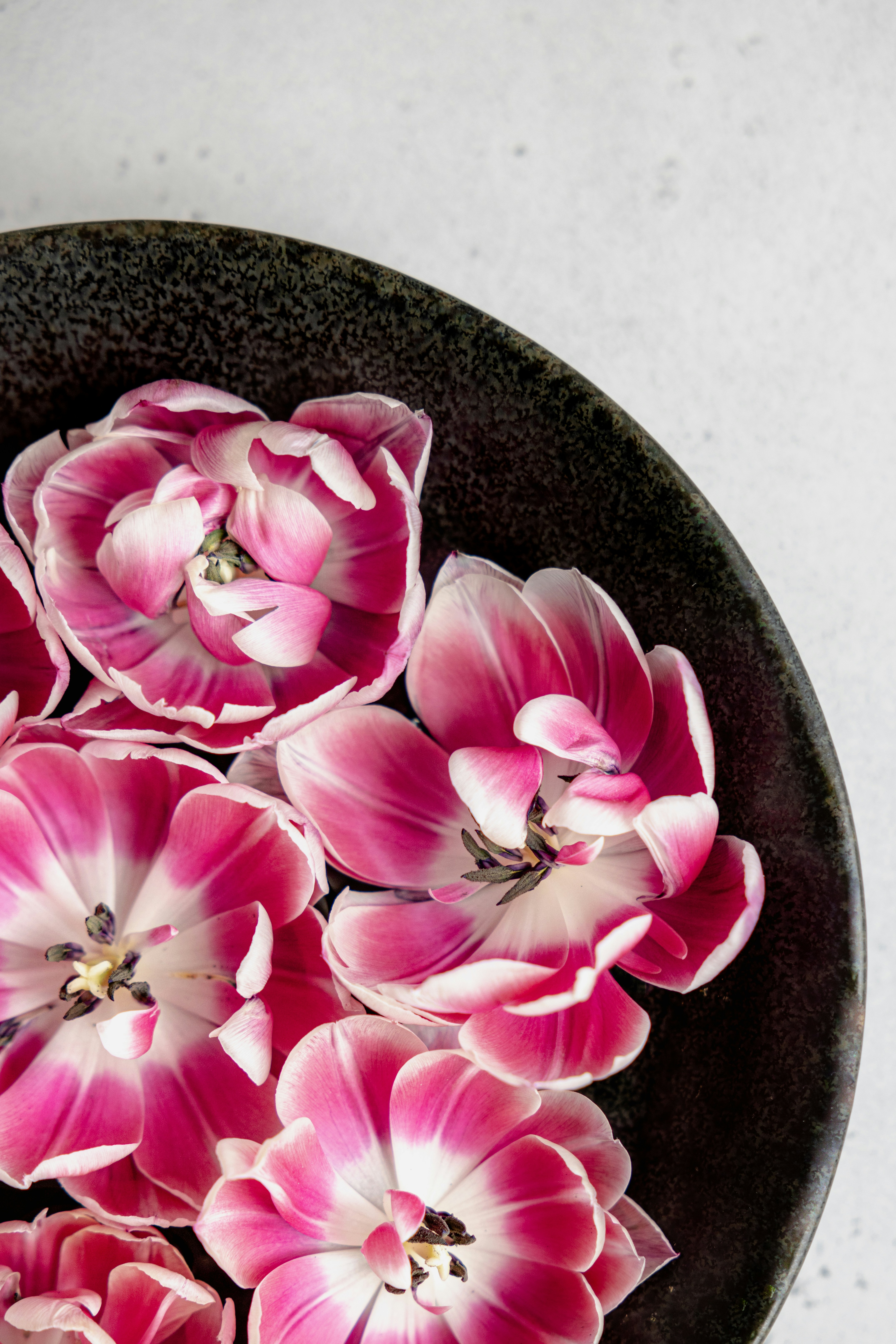 Photo by filipp_roman_photography