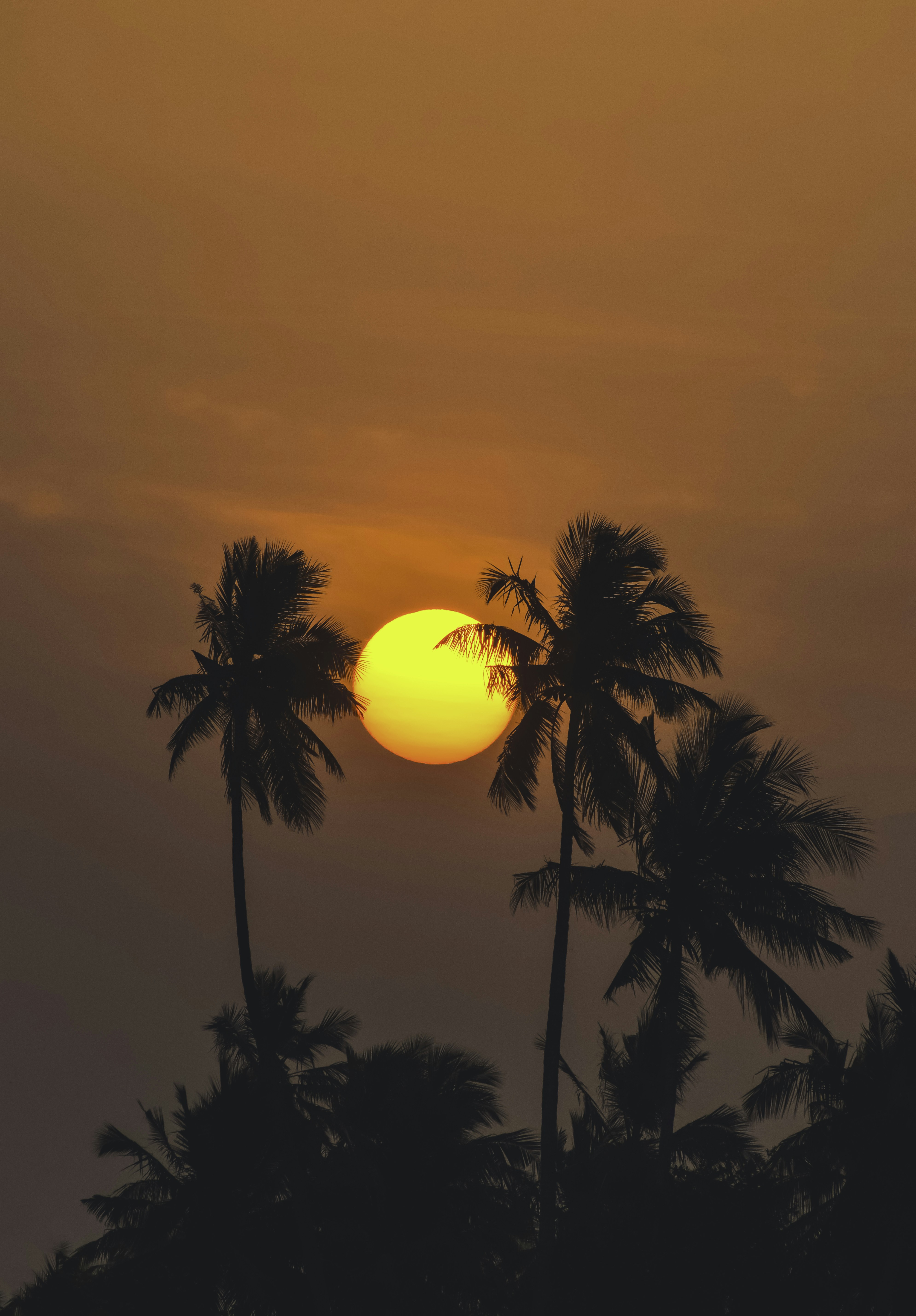 Photo by navi_photography