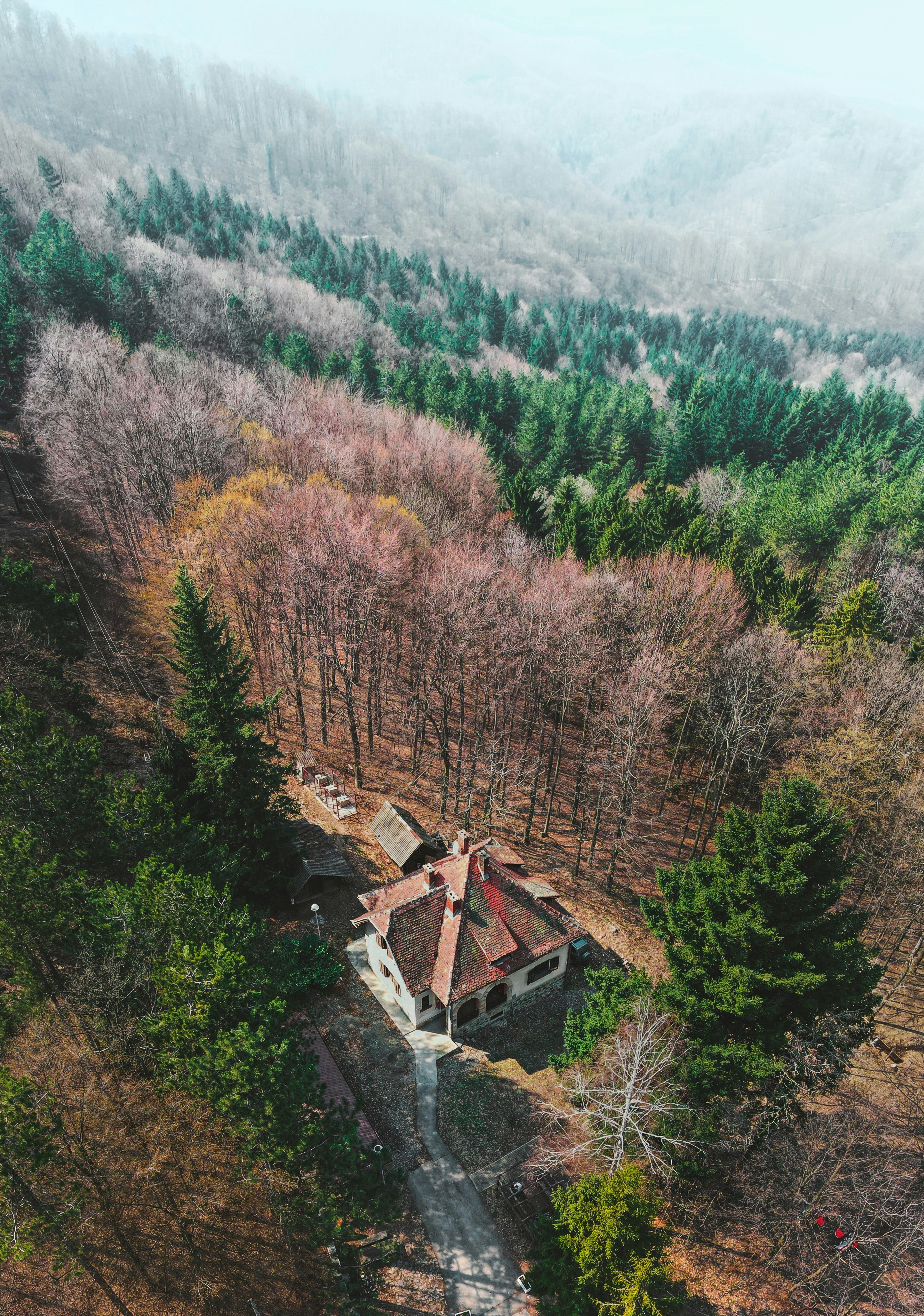 Photo by djordjevukojicic