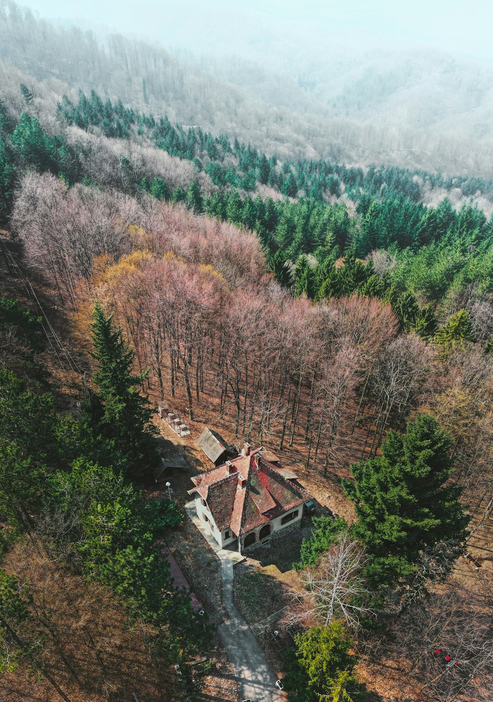 a building surrounded by trees