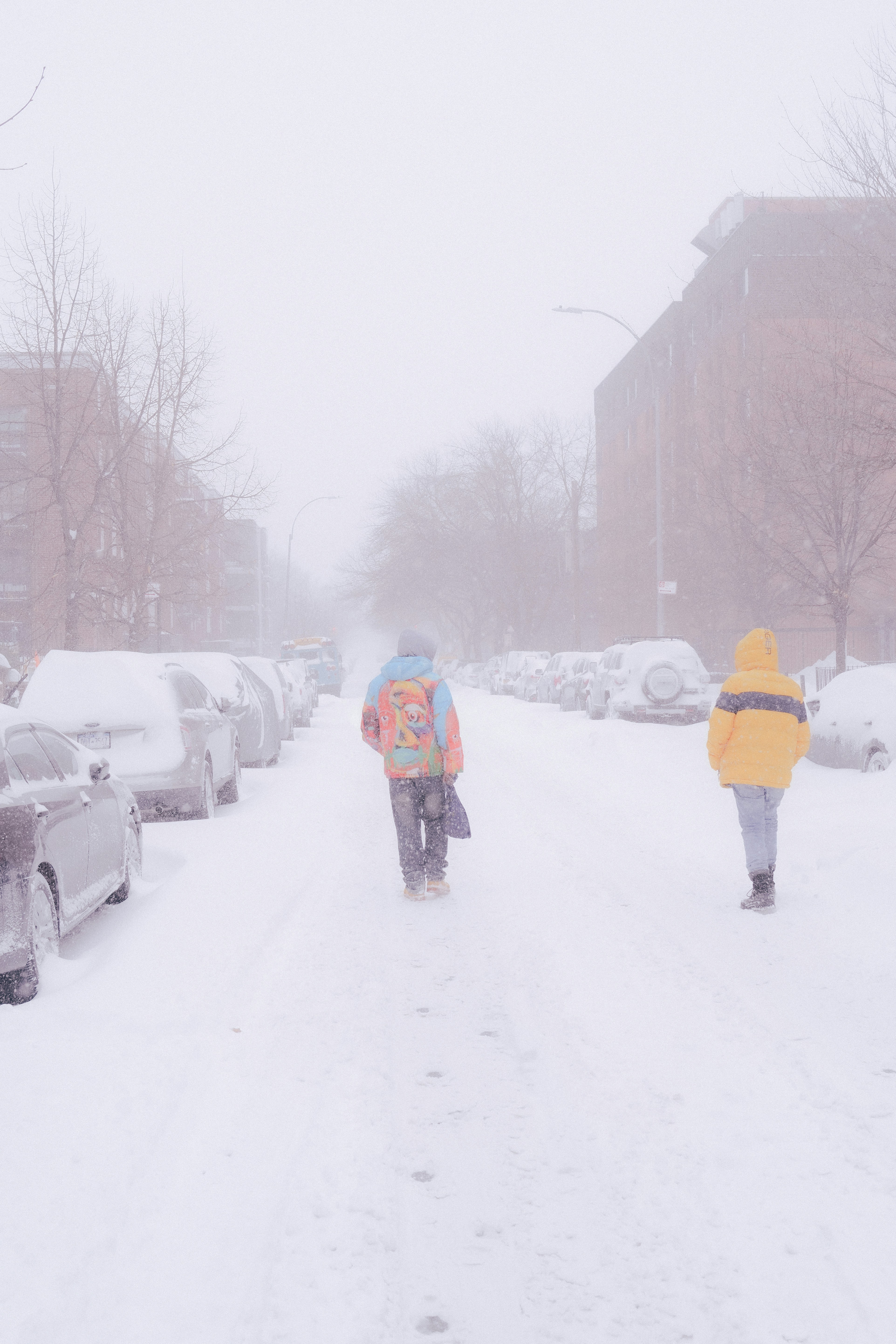 Photo by antoinevdlb