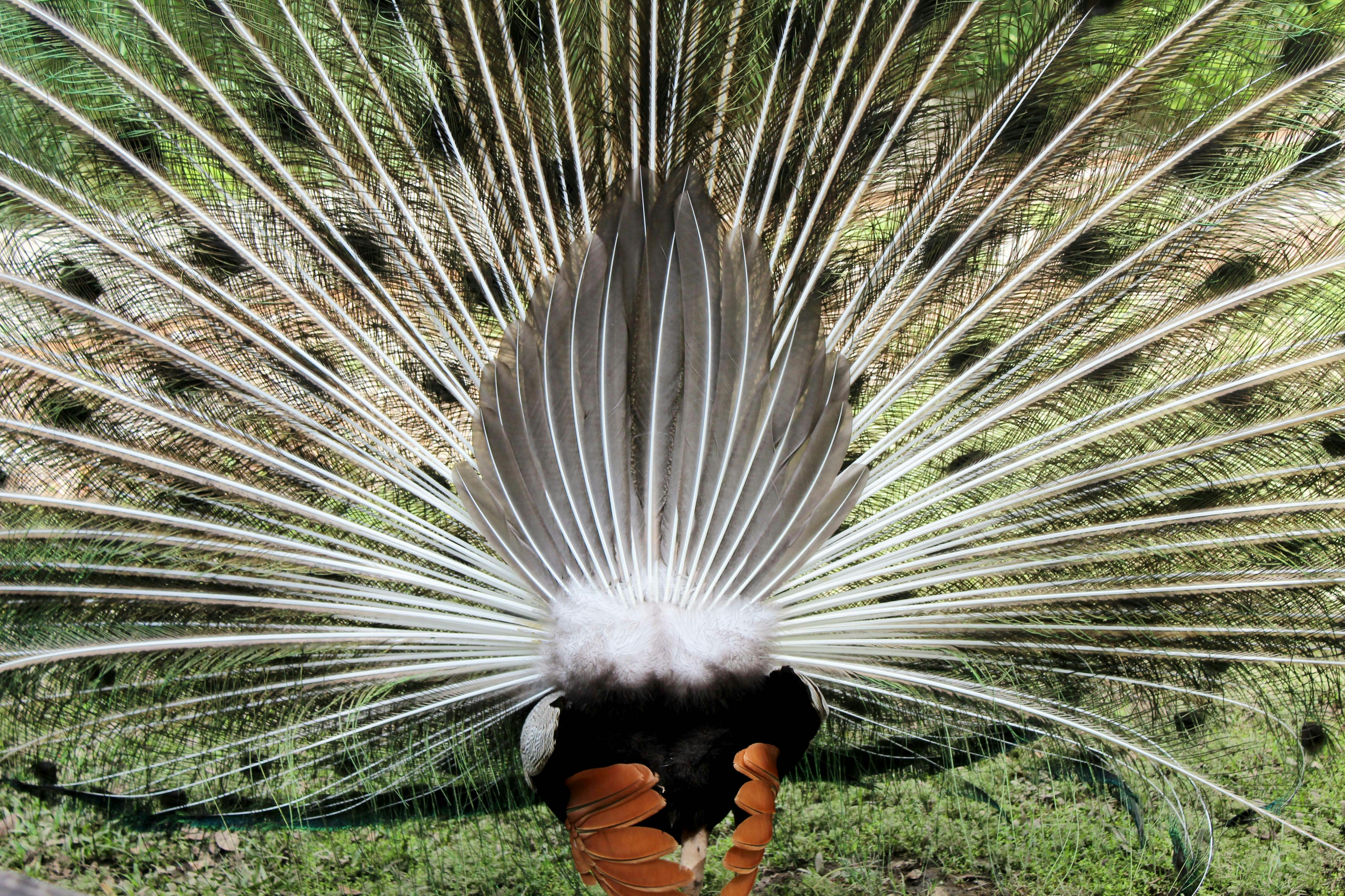 Market Alpha: 10 November 2025: Bottom Still In, Weekly Low Window Live, One Push To Reclaim