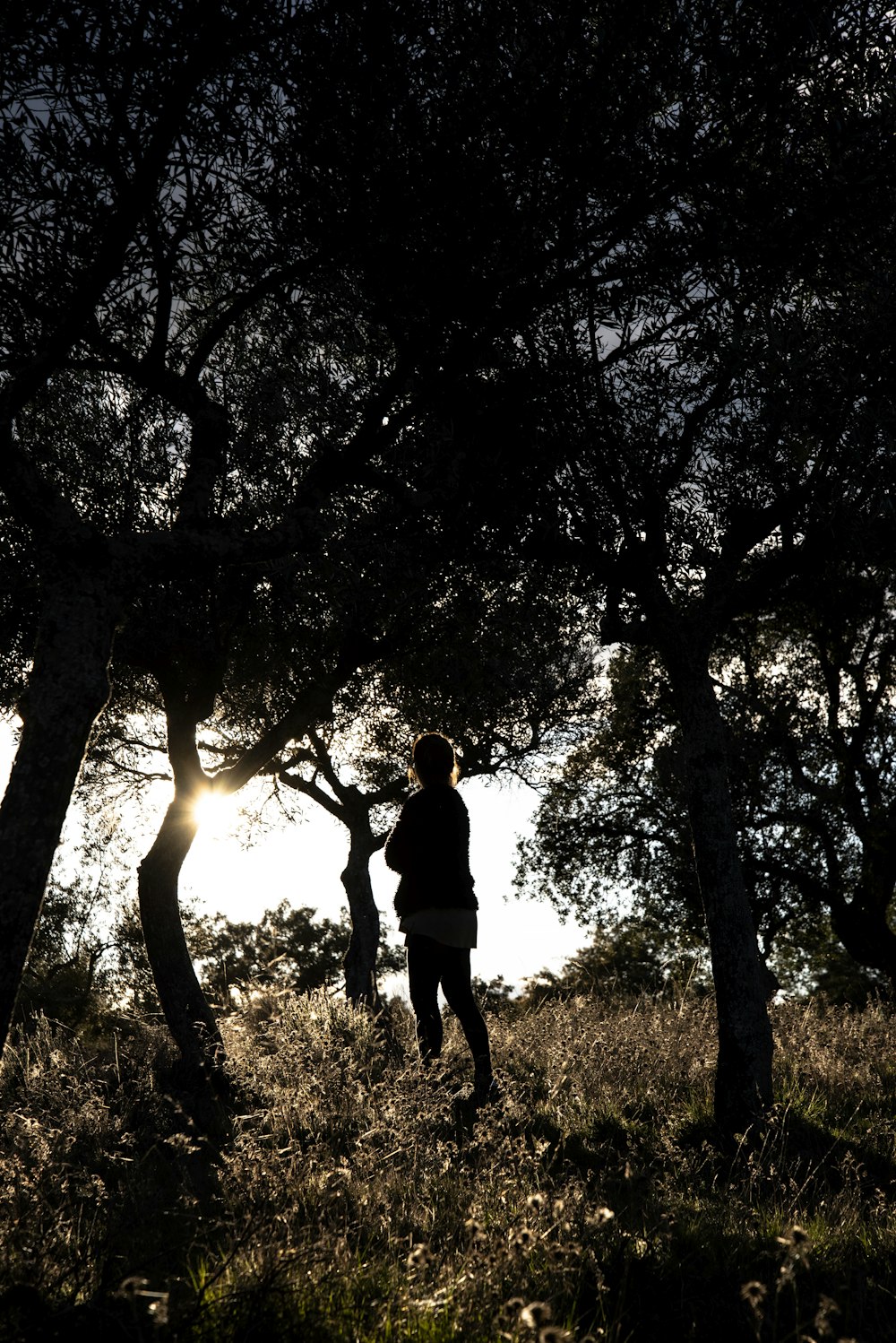 a person walking through a forest